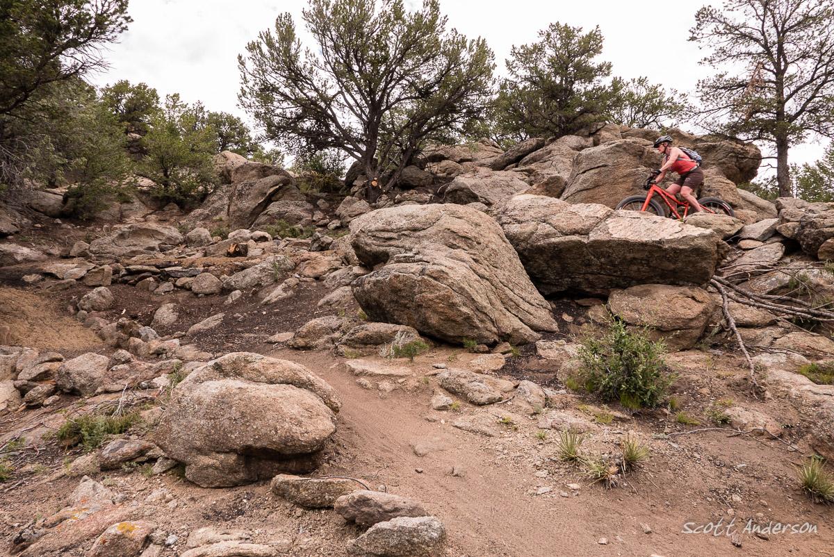 A mountain biker navigates a rocky trail surrounded by trees and boulders in a natural landscape. The rider, wearing a helmet and casual outdoor attire, skillfully maneuvers over the terrain. Midland Hills Trails mountain bike trail.