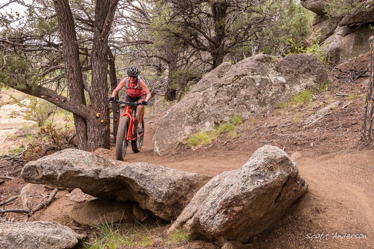 A cyclist riding a fat bike on a dirt trail surrounded by trees and large rocks, navigating a rocky terrain in a natural setting. Midland Hills Trails mountain bike trail.