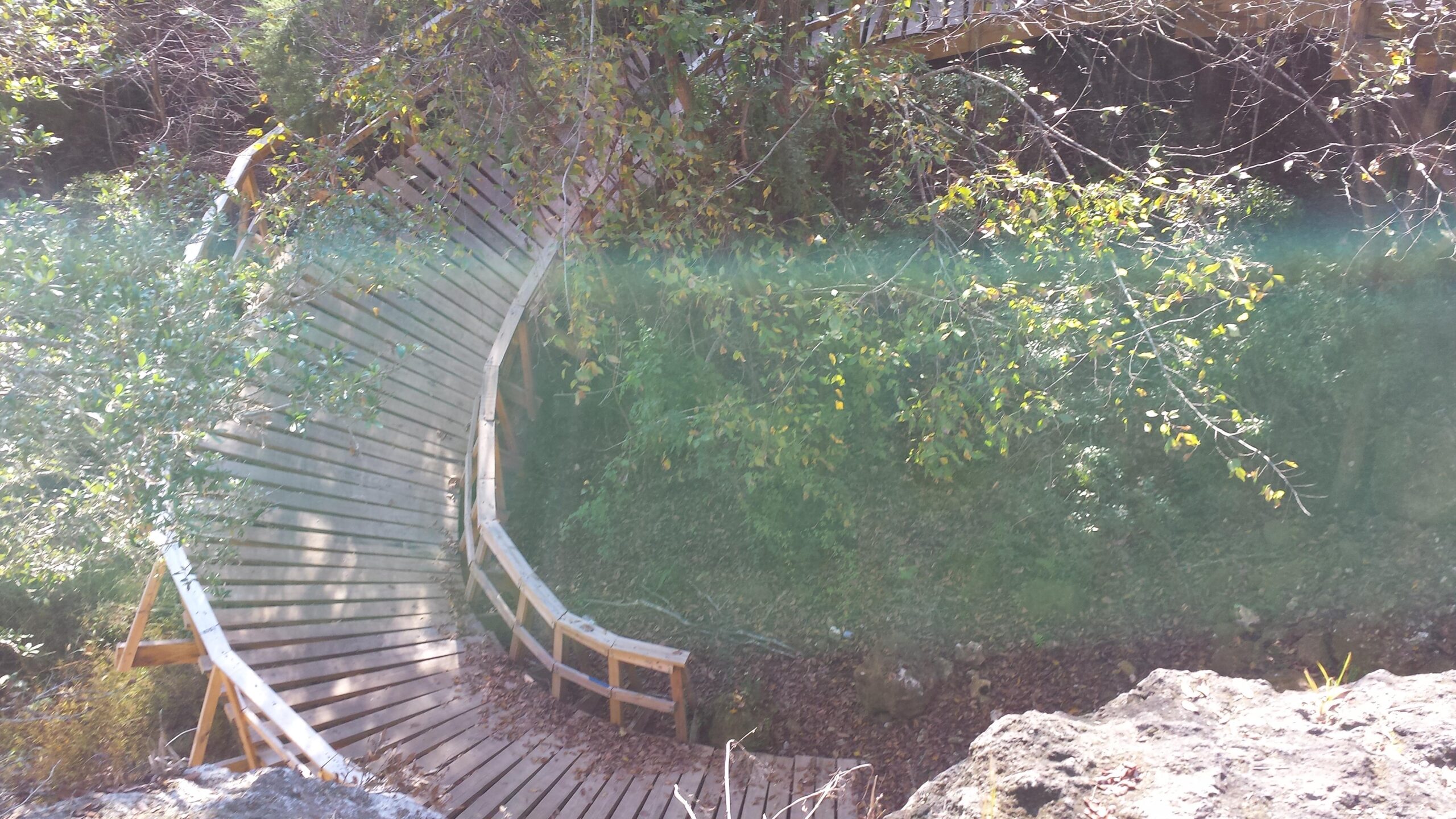 A wooden path curves through a lush, green area, surrounded by trees and overlaid with fallen leaves. The sunlight filters through the foliage, casting a gentle glow on the scene. Santos mountain bike trail.