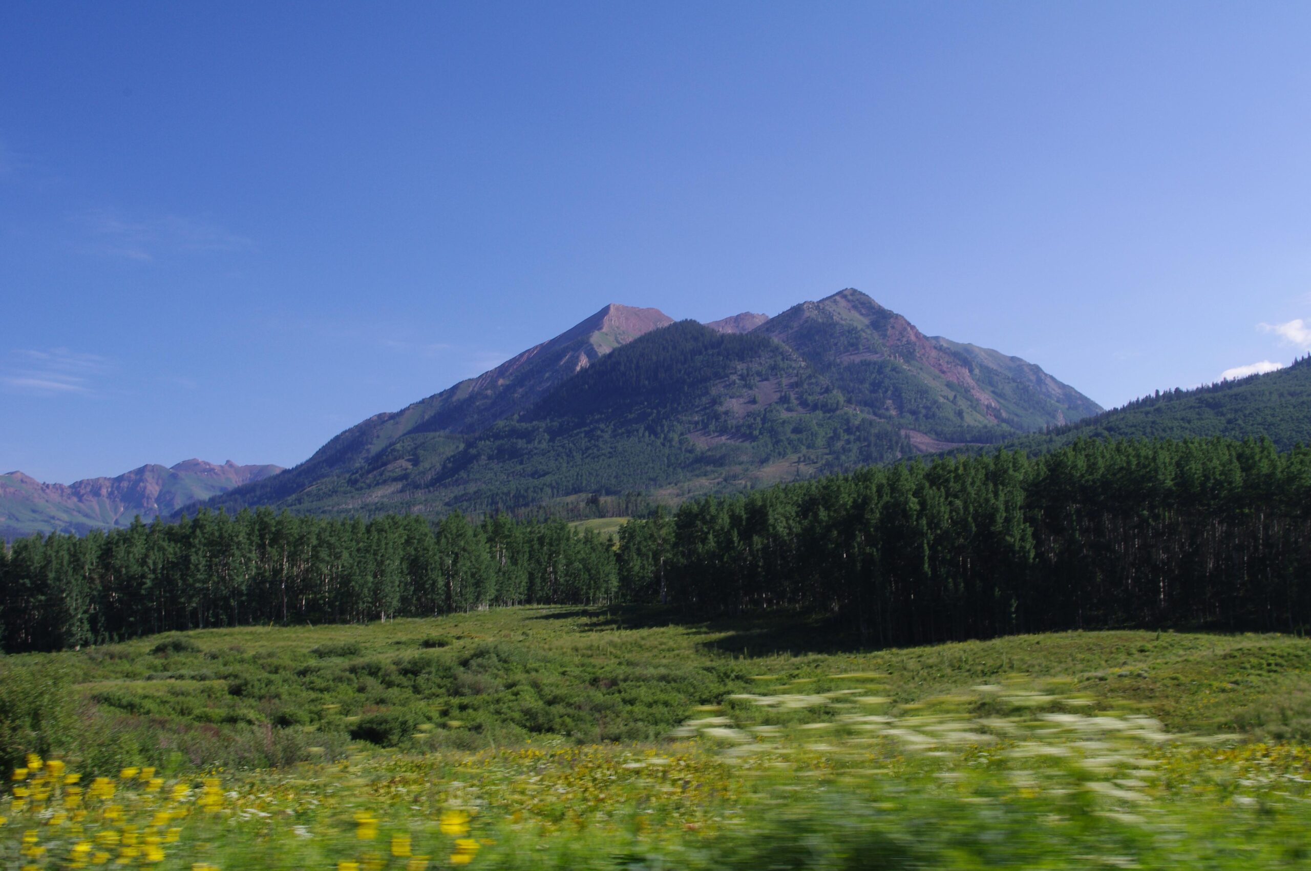 A scenic view of a mountain landscape under a clear blue sky. The foreground features a lush green field with blooming wildflowers, while dense trees border a mountainous backdrop, characterized by a mix of green slopes and rocky peaks. Trail 401 mountain bike trail.