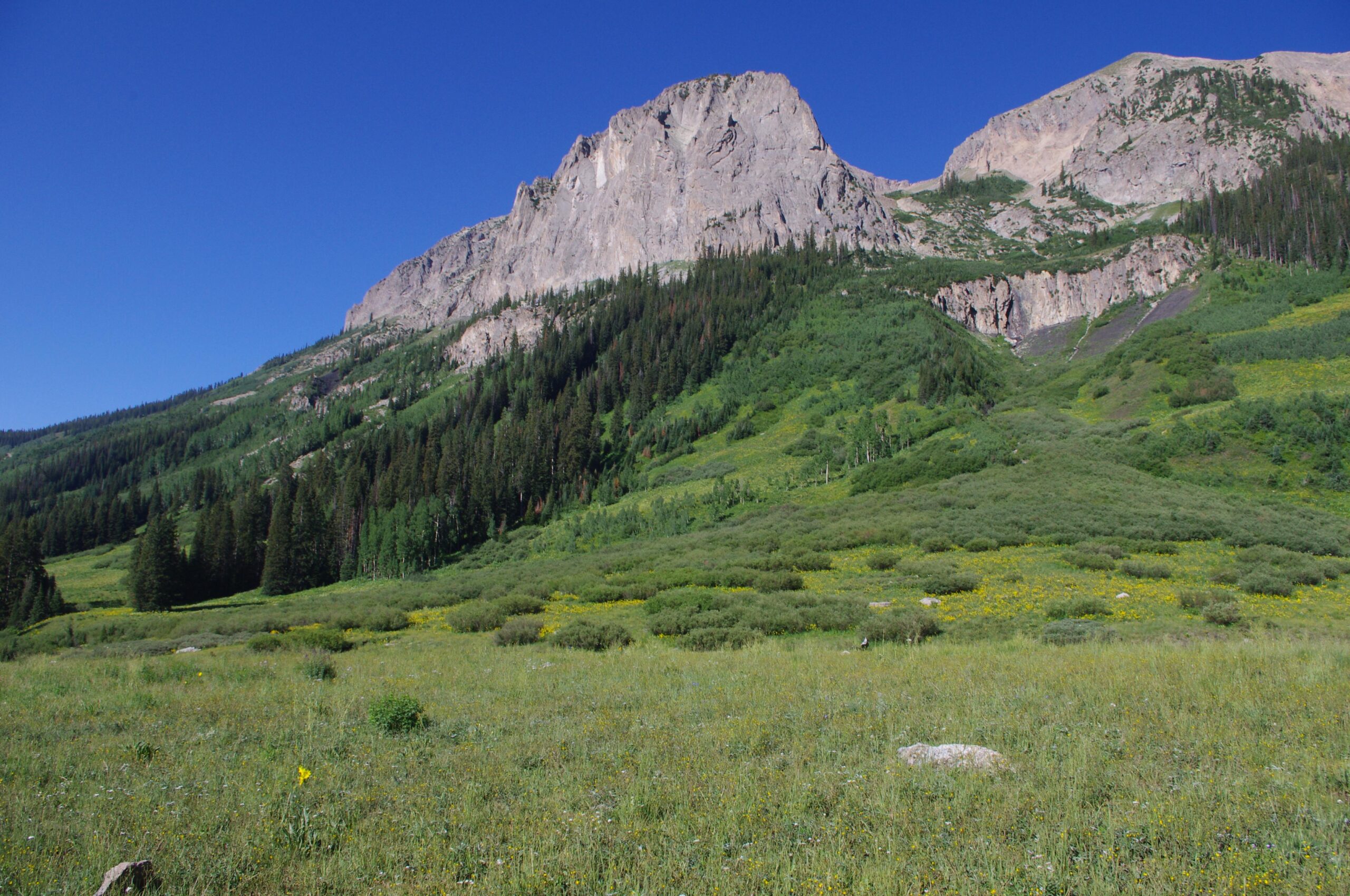 A scenic landscape featuring a towering mountain covered in rocky cliffs, flanked by lush green hills and dense forests. The foreground is a grassy meadow dotted with wildflowers, set against a clear blue sky. Trail 401 mountain bike trail.