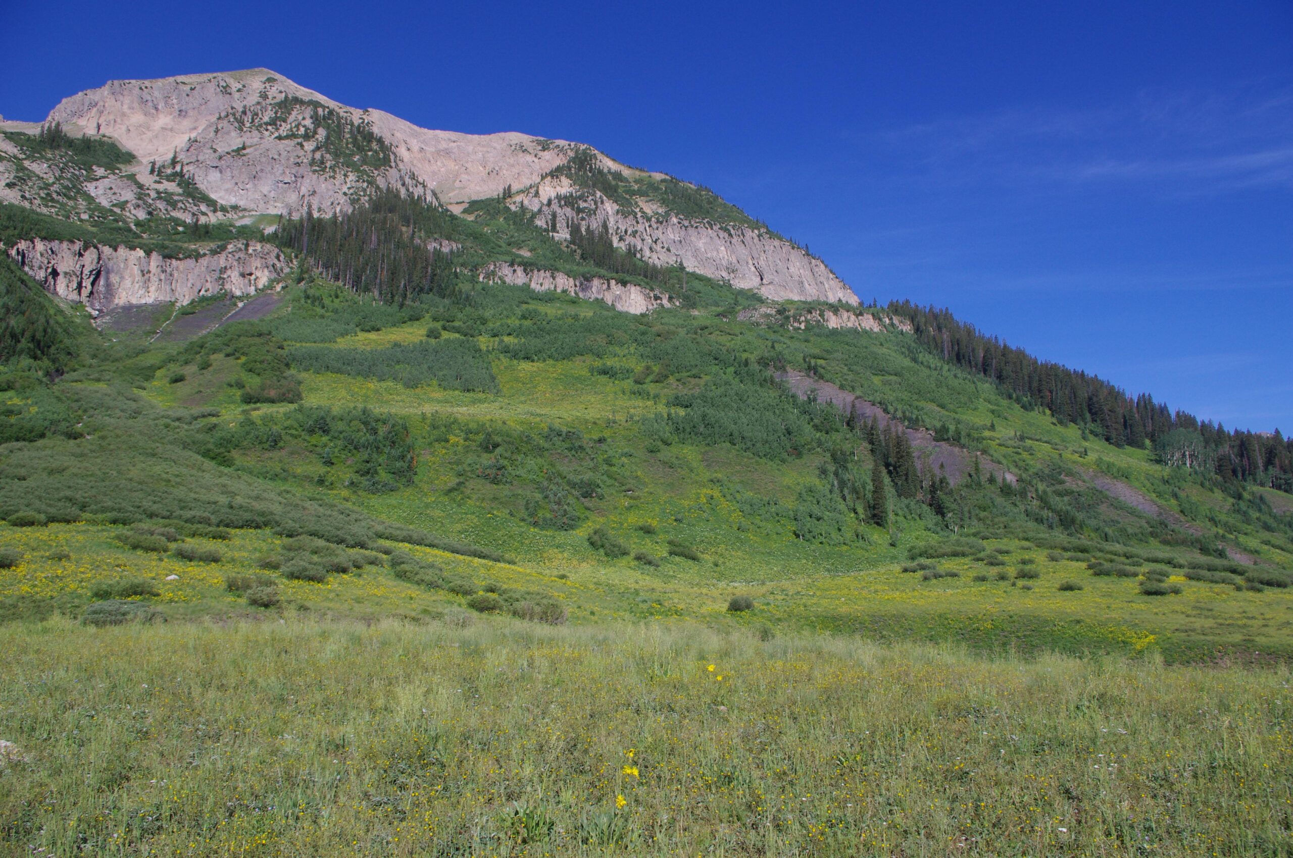 A panoramic view of a mountainous landscape featuring a steep, rocky peak topped with a blue sky dotted with wispy clouds. The foreground showcases a vibrant meadow filled with lush green vegetation and colorful wildflowers, creating a striking contrast against the rugged terrain of the mountainside. Dense forests of evergreens are visible on the slopes, enhancing the natural beauty of the scene. Trail 401 mountain bike trail.