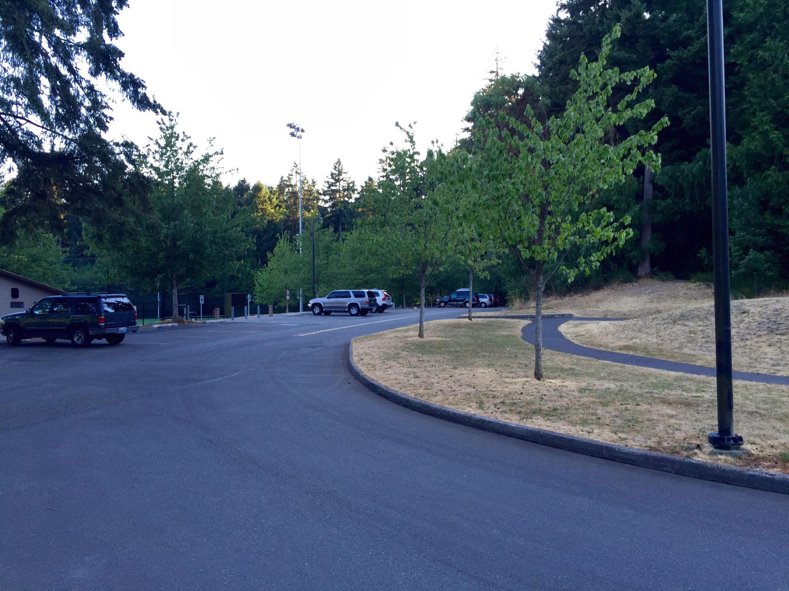 An empty parking lot with several vehicles parked along a curving asphalt drive, surrounded by lush green trees. In the background, there are tall trees and a pathway leading away from the parking area. The scene is set in the early evening light. Big Finn Hill mountain bike trail.