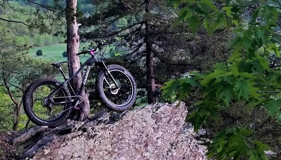 Framed Alaskan Carbon: A mountain bike resting on a rocky outcrop surrounded by trees, with a scenic green landscape in the background.