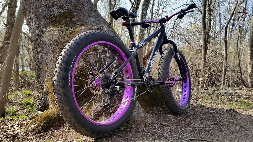 Framed Minnesota 2.0: A black mountain bike with purple accents, leaning against a large tree in a forested area. The bike features thick tires with purple rims, a sturdy frame, and is surrounded by a natural landscape with bare trees and a gravel path.
