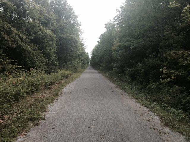 A gravel pathway surrounded by lush green trees, leading into the distance on a cloudy day. Oro-Medonte Rail Trail mountain bike trail.