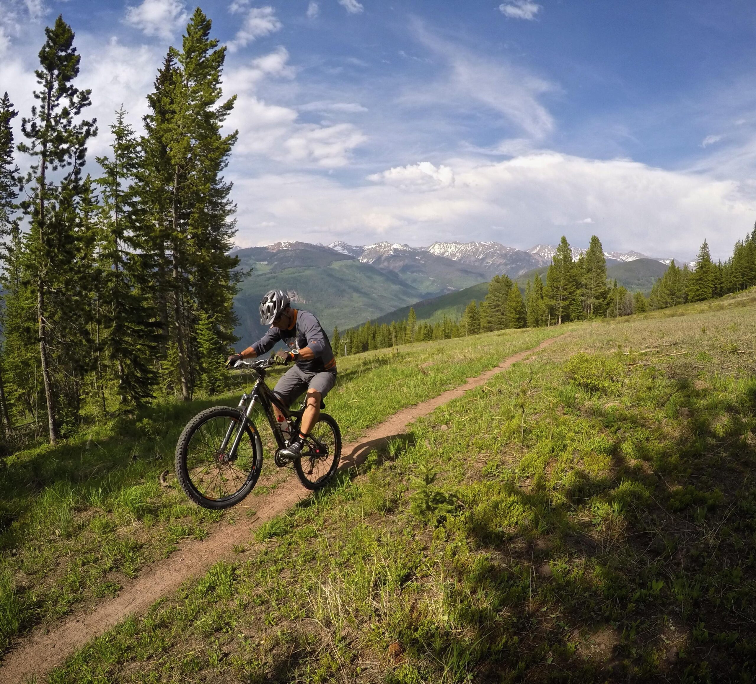 A mountain biker rides along a dirt trail in a lush green landscape, surrounded by trees and overlooking a mountainous backdrop with snow-capped peaks under a partly cloudy sky. Vail Mountain Bike Park mountain bike trail.