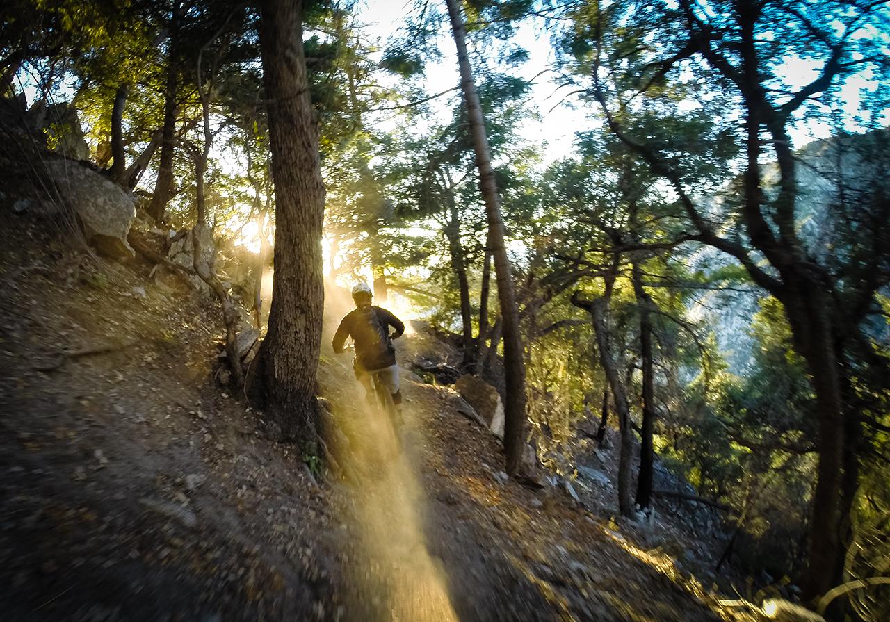 A mountain biker trails through a sunlit forest, kicking up dust as they navigate a rugged path surrounded by trees and rocks. The golden light filters through the foliage, creating a dynamic and adventurous atmosphere. Sam Merril mountain bike trail.