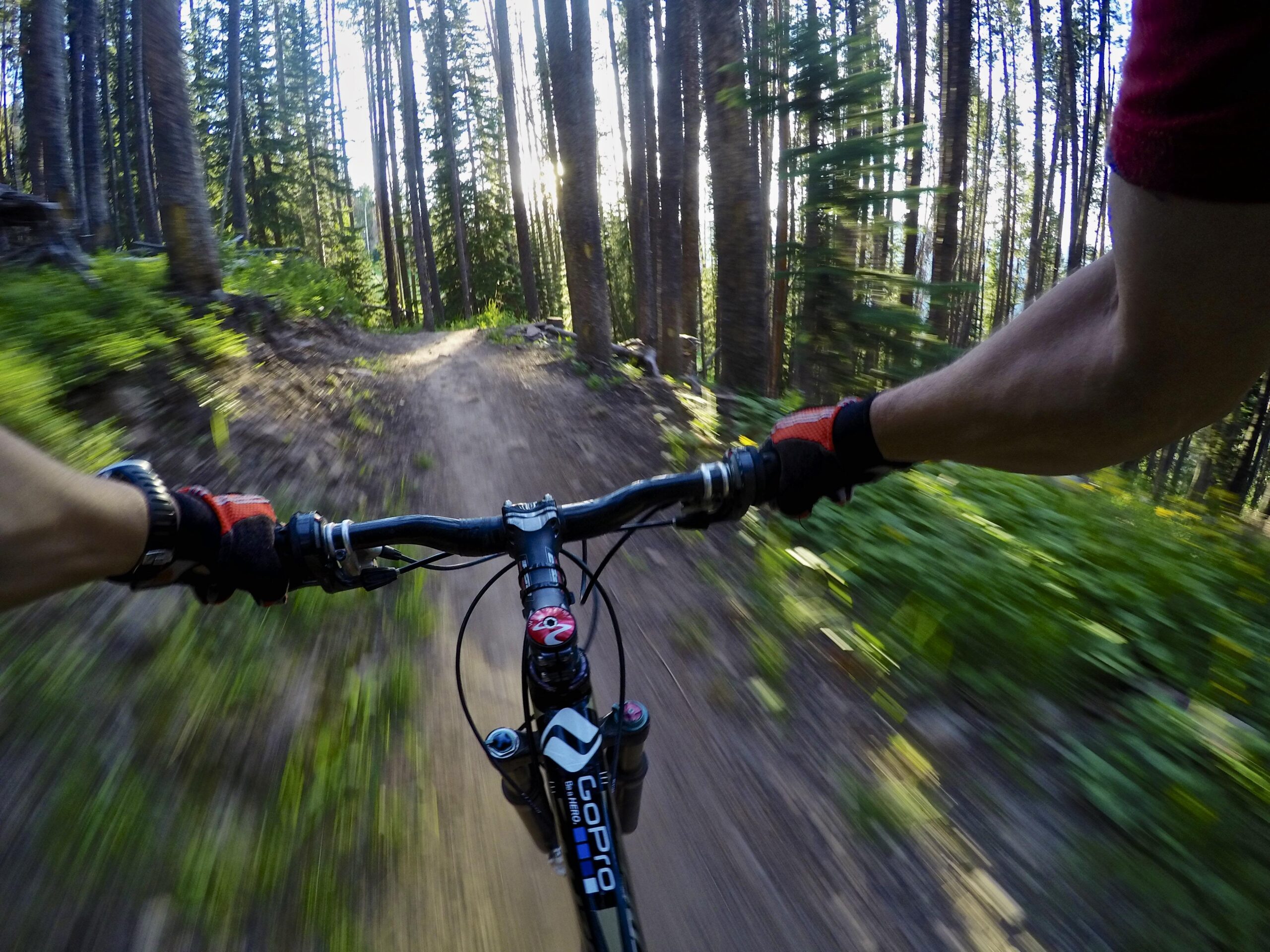 A perspective view of a mountain biker's hands gripping the handlebars as they navigate a dirt trail through a dense forest. The scene captures the sense of speed and movement, with trees and foliage blurring in the background, suggesting an exhilarating ride. Vail Mountain Bike Park mountain bike trail.