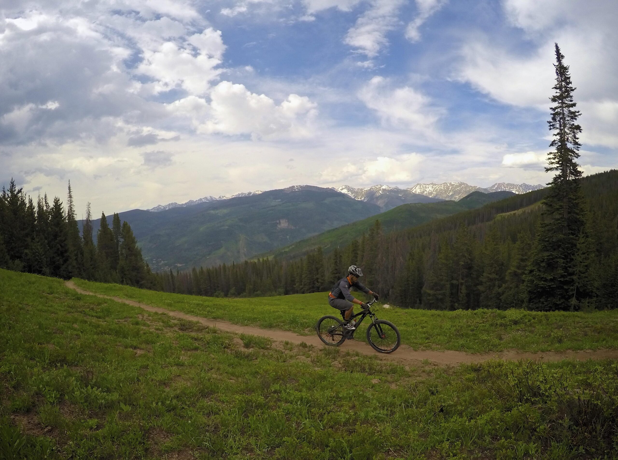 A mountain biker rides along a dirt trail through a grassy landscape, surrounded by tall trees and distant mountain ranges with snow-capped peaks under a partly cloudy sky. Vail Mountain Bike Park mountain bike trail.
