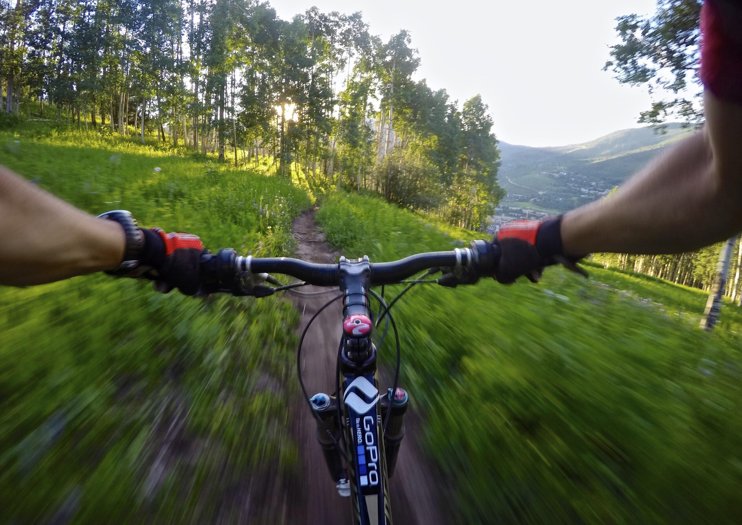 A close-up view of a mountain bike handlebar being ridden on a winding dirt trail surrounded by lush green grass and trees, capturing a sense of speed and adventure in a natural landscape during the early morning or late afternoon light. Vail Mountain Bike Park mountain bike trail.