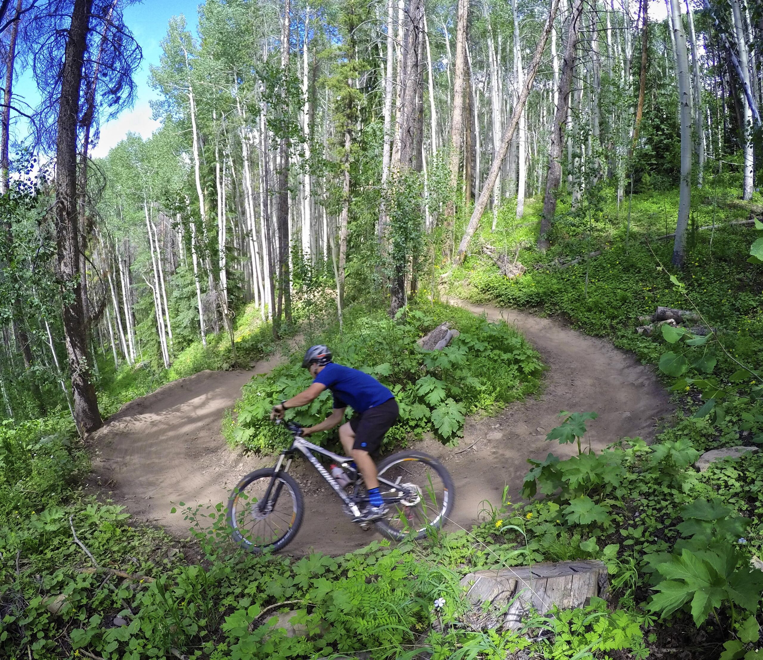 A mountain biker navigating a curved dirt trail surrounded by lush green foliage and tall trees in a dense forest. The scene captures a sense of adventure and the beauty of nature on a sunny day. Vail Mountain Bike Park mountain bike trail.