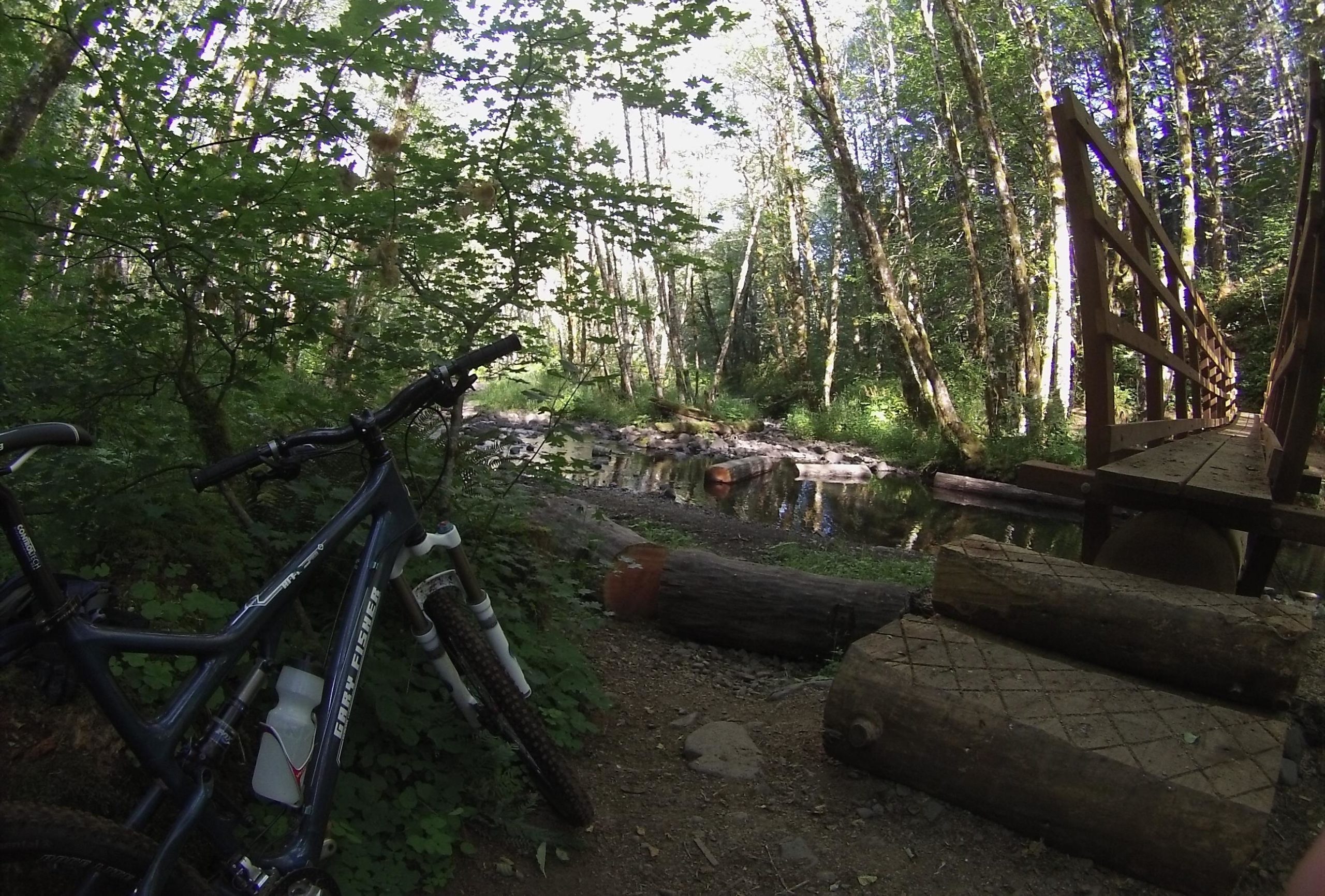 A mountain bike resting on the ground near a tranquil stream surrounded by dense green foliage and tall trees. A wooden bridge spans the stream, with logs and rocks lining the bank, providing a peaceful outdoor scene. Tillamook State Forest mountain bike trail.