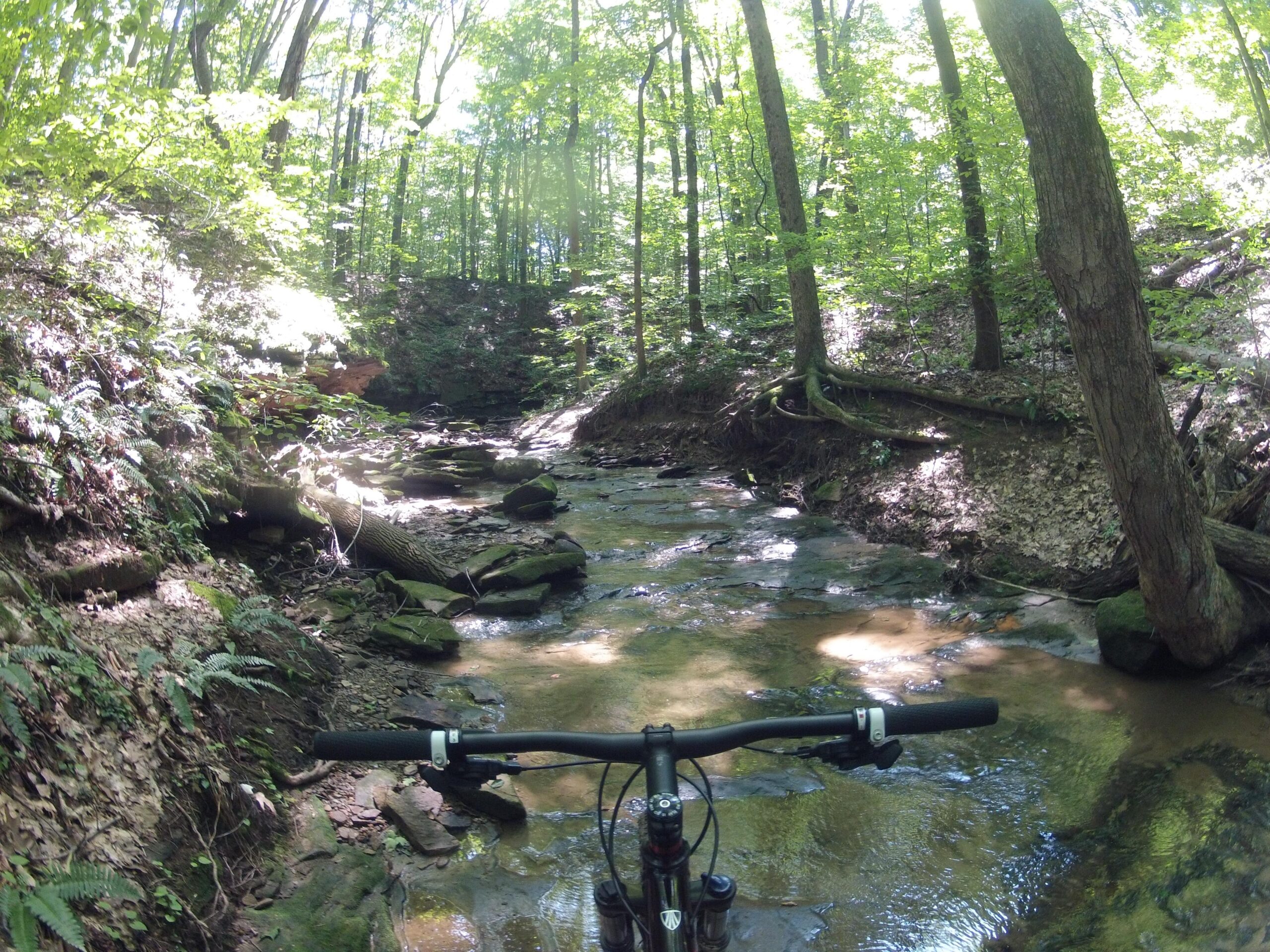 A mountain bike positioned near a shallow stream surrounded by lush green trees and foliage, with sunlight filtering through the leaves. The rocky bank and water suggest a serene outdoor trail perfect for biking and nature exploration. West Branch mountain bike trail.