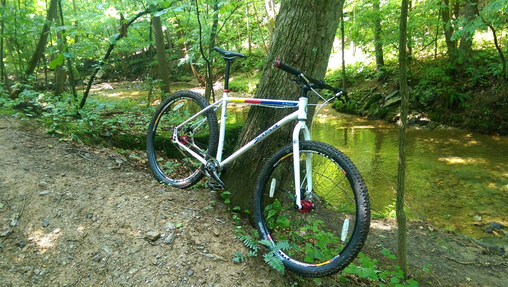 A white mountain bike leans against a tree by a creek, surrounded by lush greenery and sunlight filtering through the leaves. The terrain is a mix of dirt and rocks, showcasing a natural outdoor setting ideal for biking adventures.