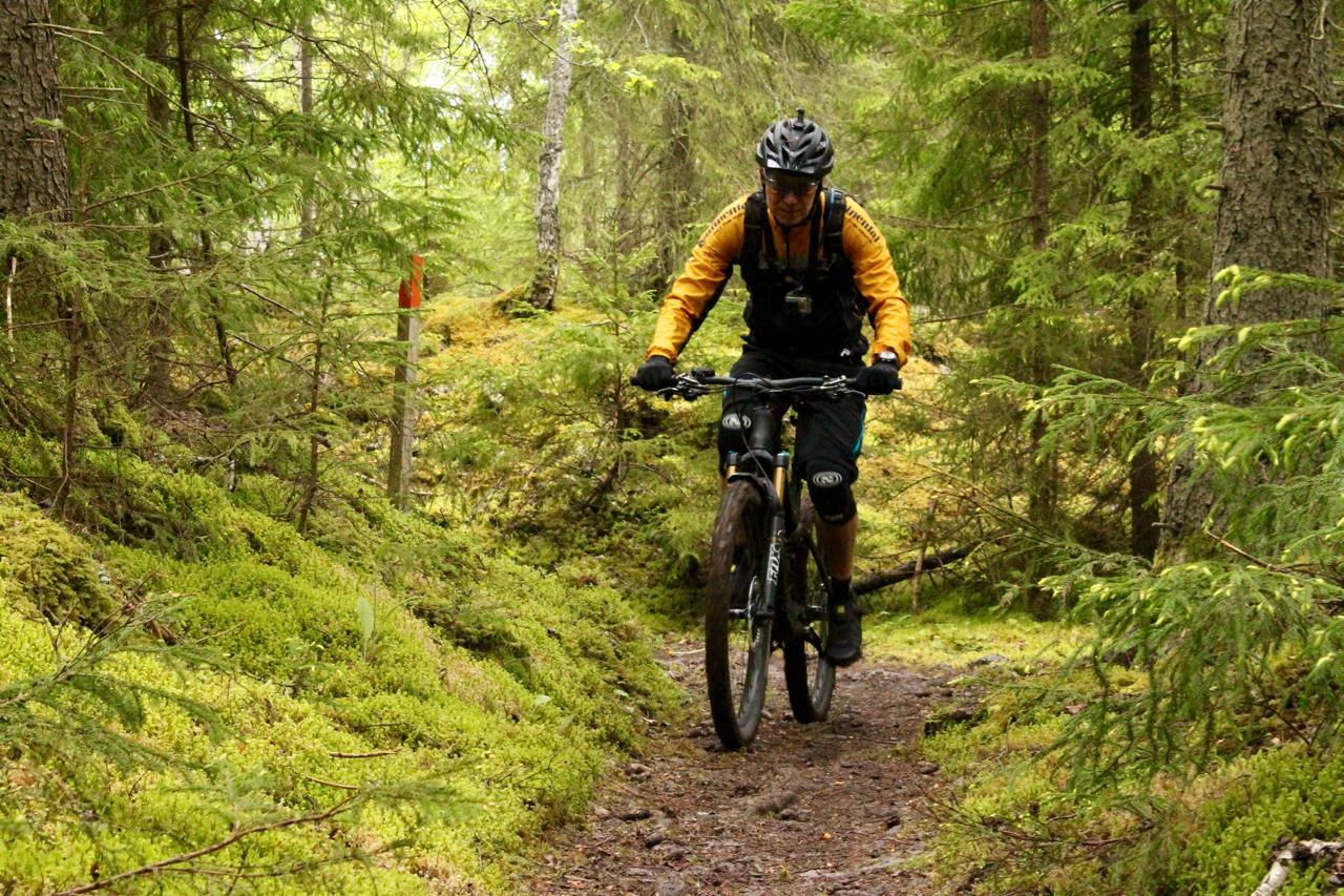 A mountain biker wearing a helmet and bright orange jacket rides along a narrow dirt path through a lush, green forest. Surrounding him are trees and moss-covered ground, with a trail marker visible in the background. Kinnekulle Trail System mountain bike trail.