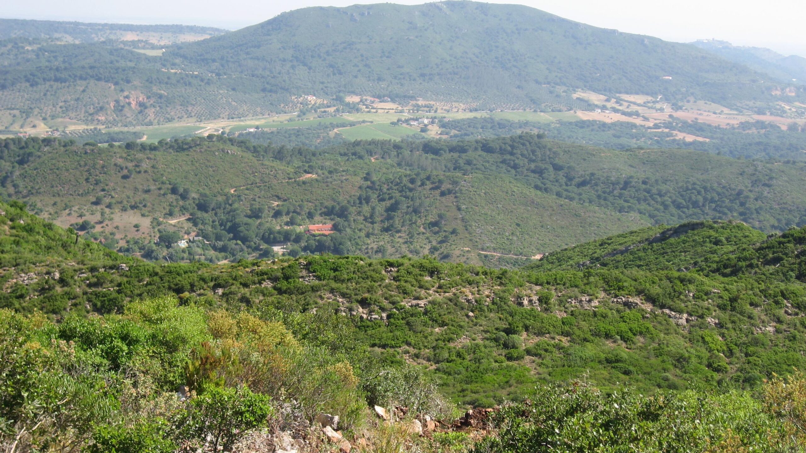 A scenic view of lush green hills and valleys under a clear sky, showcasing the layered landscape with farmland and scattered trees in the distance. Arrabida mountain bike trail.
