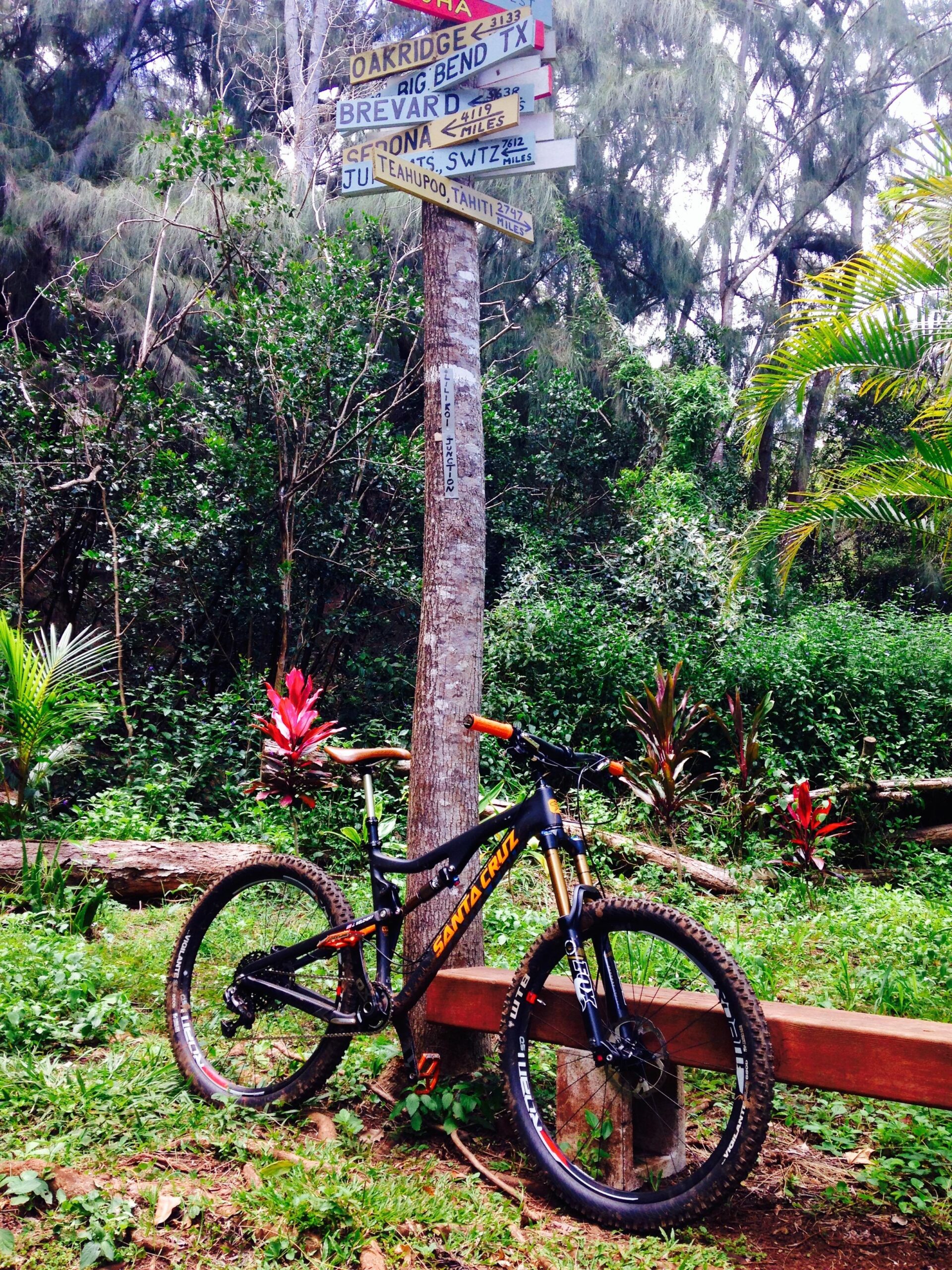 Santa Cruz Bronson: A black mountain bike is resting against a wooden bench in a lush green forest. In the background, a wooden signpost displays directional markers and distances to various locations, including Oakridge, Brevard, and Teahupo'o, amidst dense foliage and tropical plants.