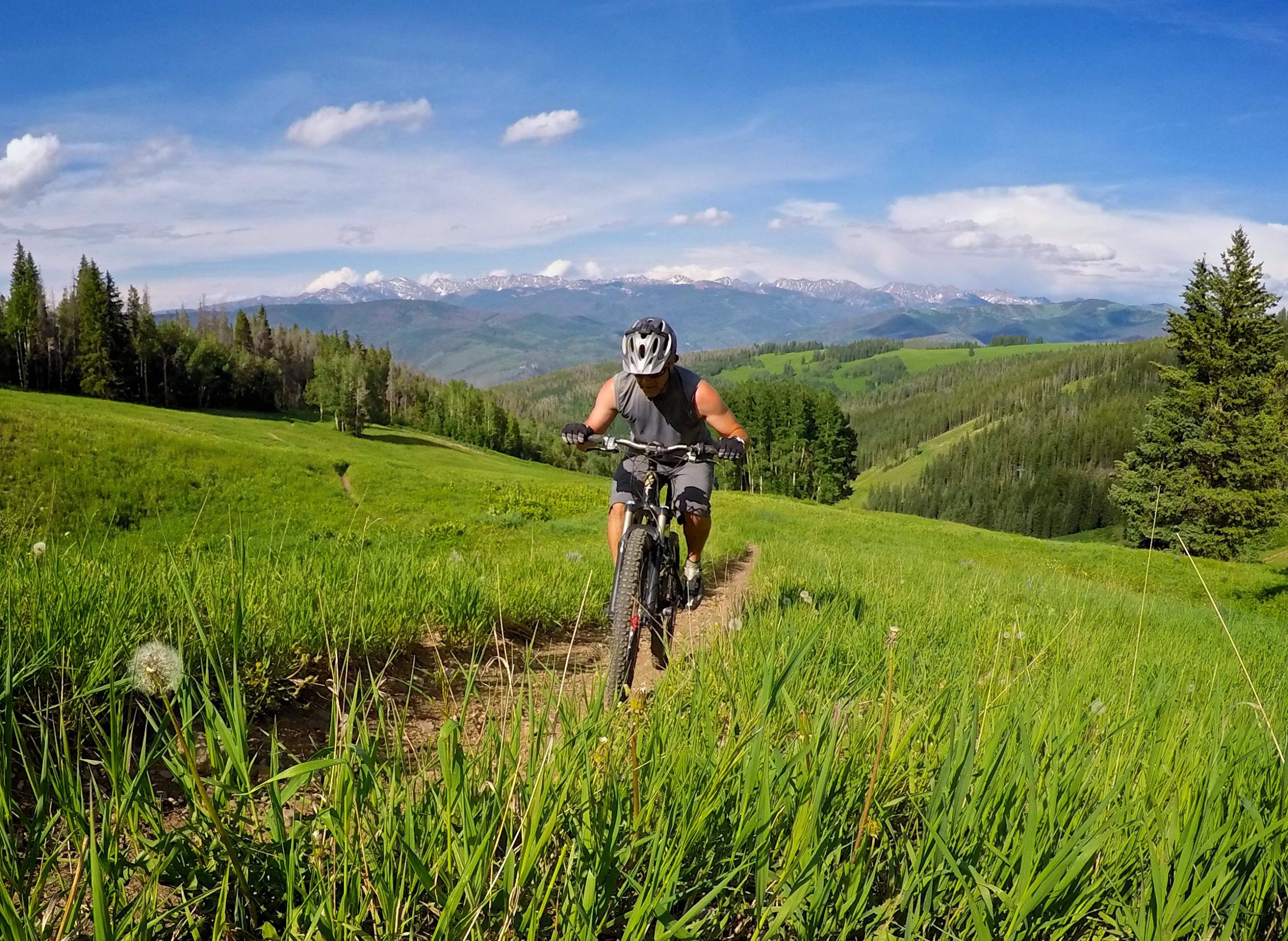 A mountain biker riding along a dirt trail surrounded by lush green grass and trees, with a mountainous landscape visible in the background under a clear blue sky. Beaver Creek Ski Resort mountain bike trail.