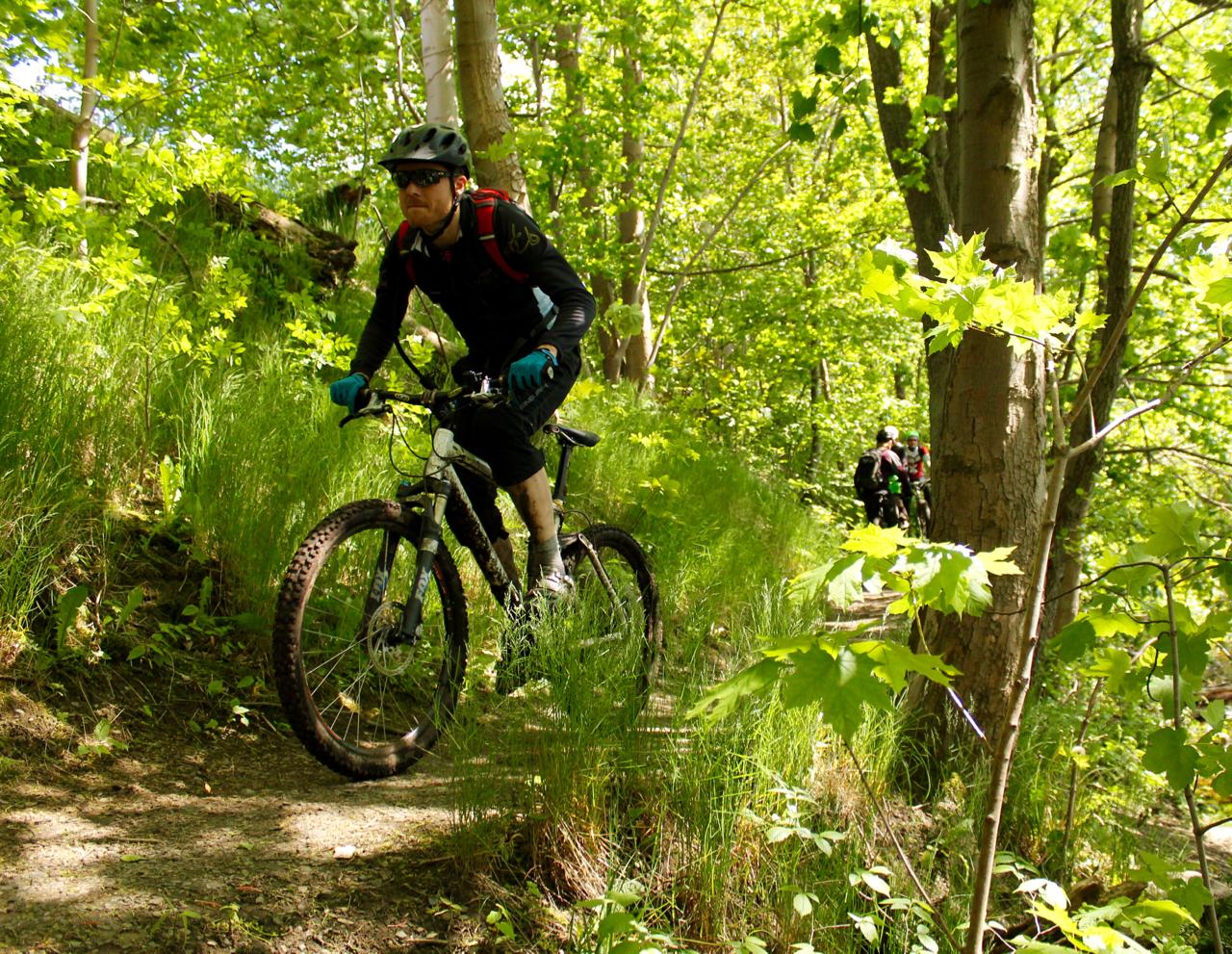 A mountain biker navigating a narrow, grassy trail surrounded by lush green trees and foliage. The cyclist is wearing a helmet, sunglasses, and gloves, focusing on the path ahead. In the background, another mountain biker can be seen following the same trail. Molndal Area mountain bike trail.