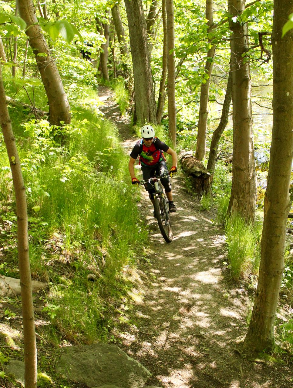 A mountain biker wearing a helmet and colorful riding gear navigates a dirt trail surrounded by lush green trees and foliage on a sunny day. Molndal Area mountain bike trail.