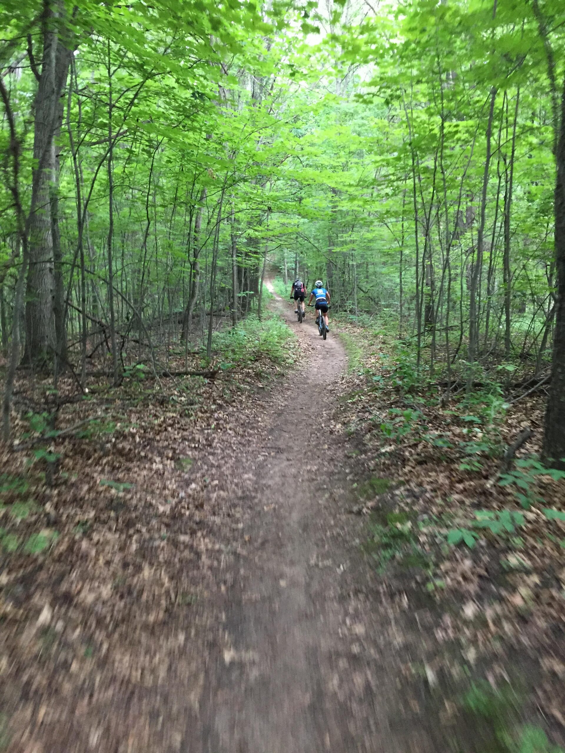 Two mountain bikers riding along a narrow dirt trail in a lush green forest, surrounded by trees with bright green leaves and a carpet of fallen leaves on the ground. Potawatomi trail mountain bike trail.