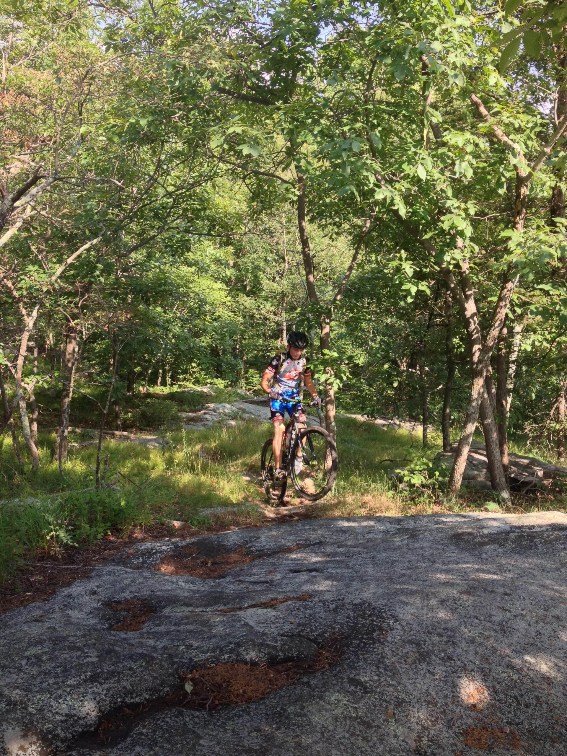 A person riding a mountain bike on a rocky trail surrounded by lush green trees and vegetation. The cyclist is wearing a colorful jersey and shorts, and is navigating the uneven terrain. Allamuchy State Park-North mountain bike trail.