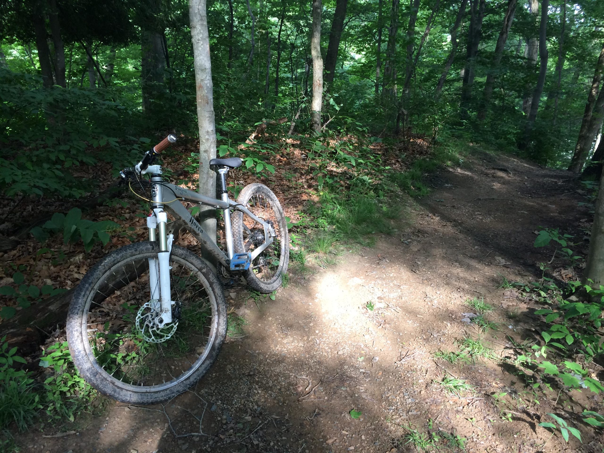A mountain bike resting against a tree on a dirt trail surrounded by lush green foliage and sunlight filtering through the trees. The path winds into the distance. Brady's Run County Park mountain bike trail.