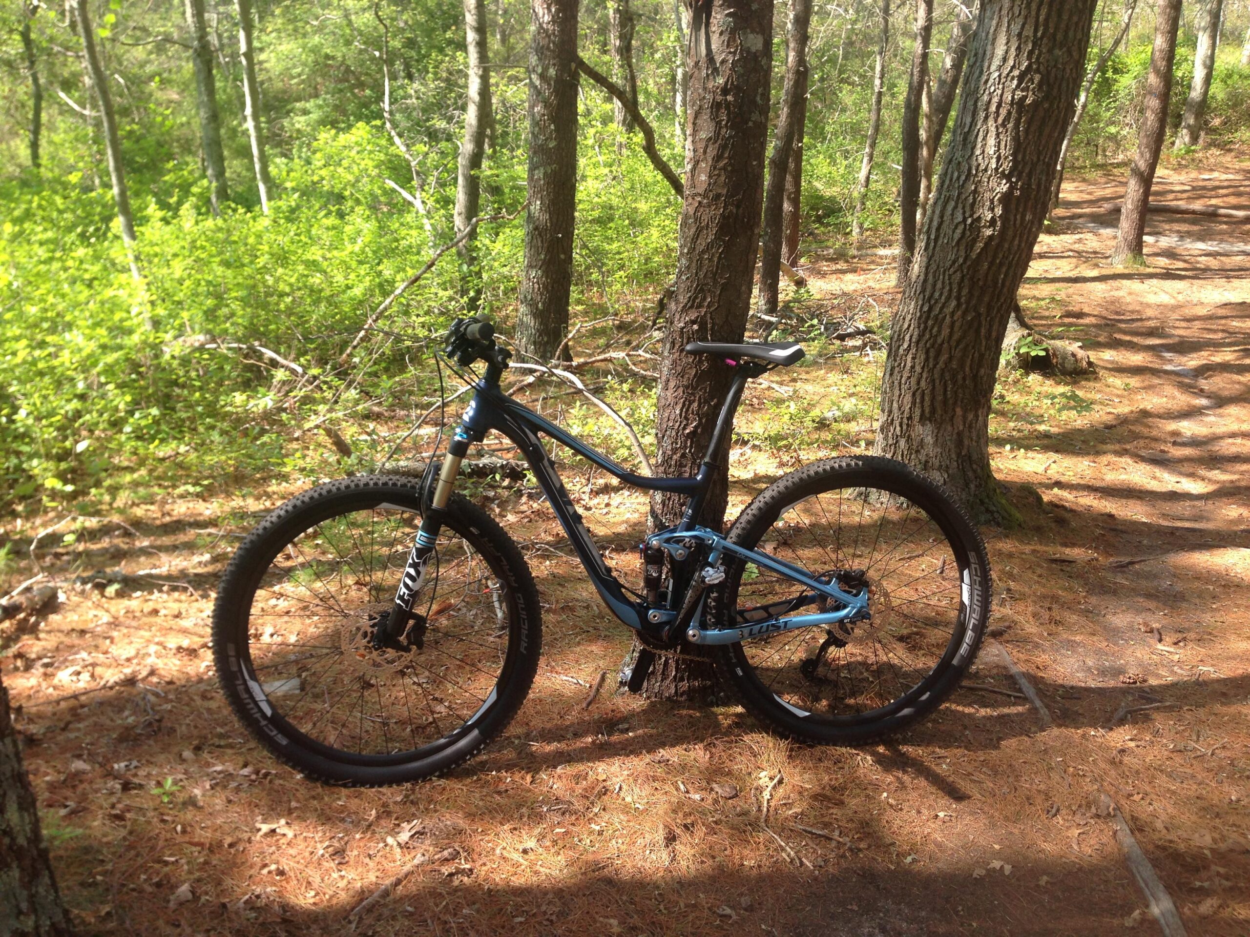 Giant Lust 2: A blue mountain bike leaning against a tree in a wooded area, surrounded by green foliage and a dirt pathway. Sunlight filters through the trees, casting dappled shadows on the ground.