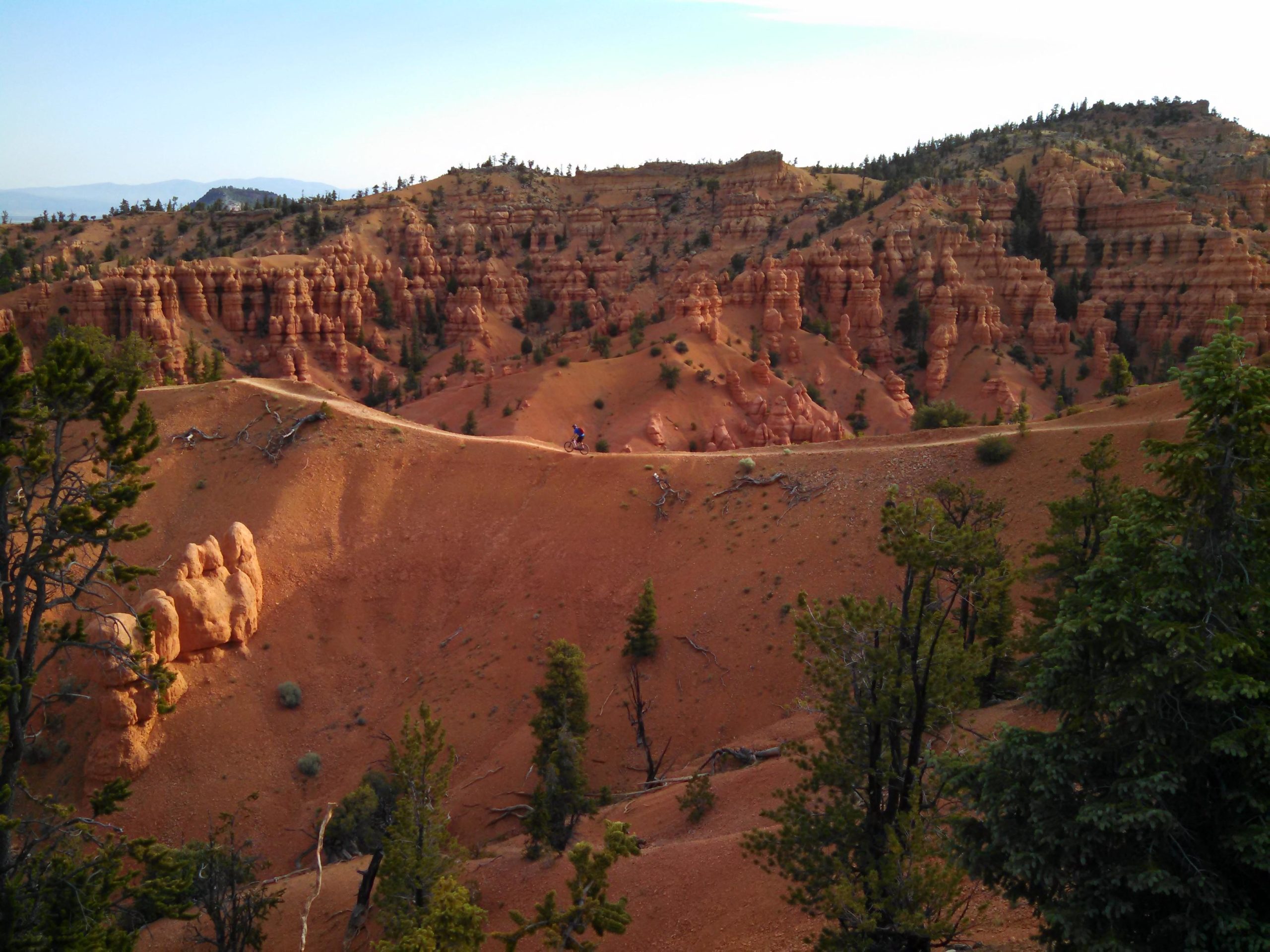 A scenic view of red rock formations and ridges under a clear sky, with a person biking along a narrow trail. Pine trees are scattered throughout the landscape, highlighting the natural beauty of the area. Thunder Mountain mountain bike trail.