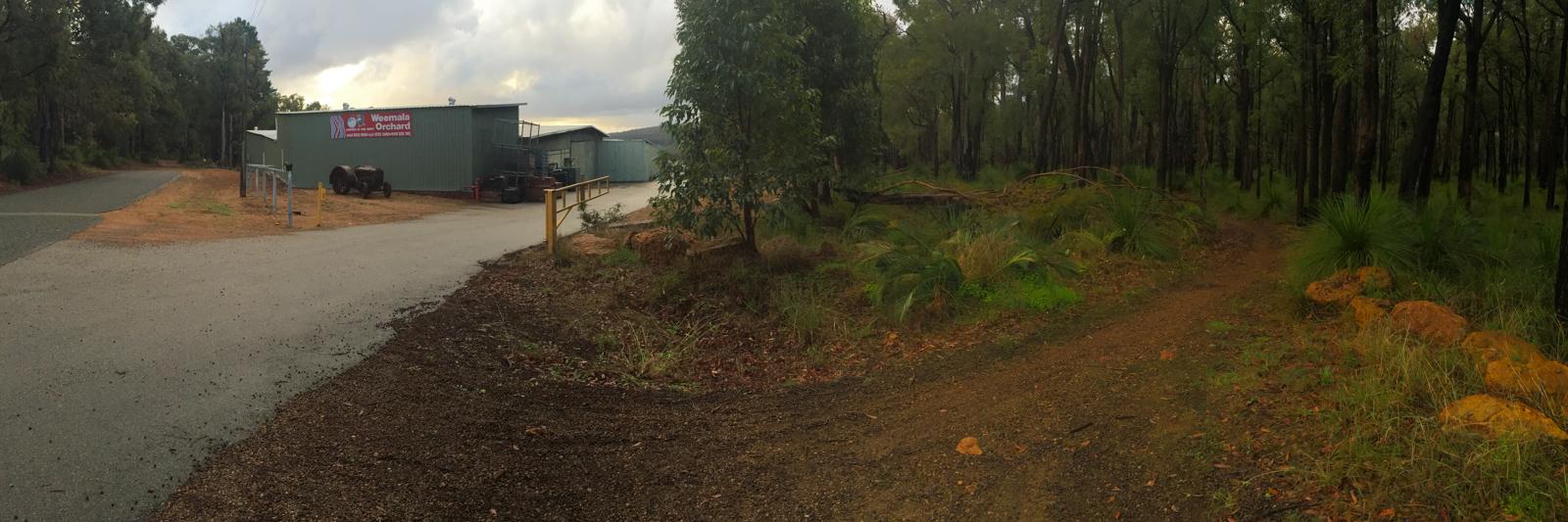A panoramic view of Weemala Orchard, featuring a green shed with a sign and parked farm machinery, set against a backdrop of tall trees and a dirt road. The scene is surrounded by lush vegetation and shows an overcast sky. The Whore No More mountain bike trail.
