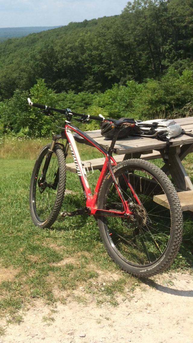 Specialized Stumpjumper Comp Carbon 29: Mountain bike leaning against a picnic table, surrounded by greenery and a clear blue sky. A helmet and backpack are resting on the table, suggesting a break during a biking adventure.
