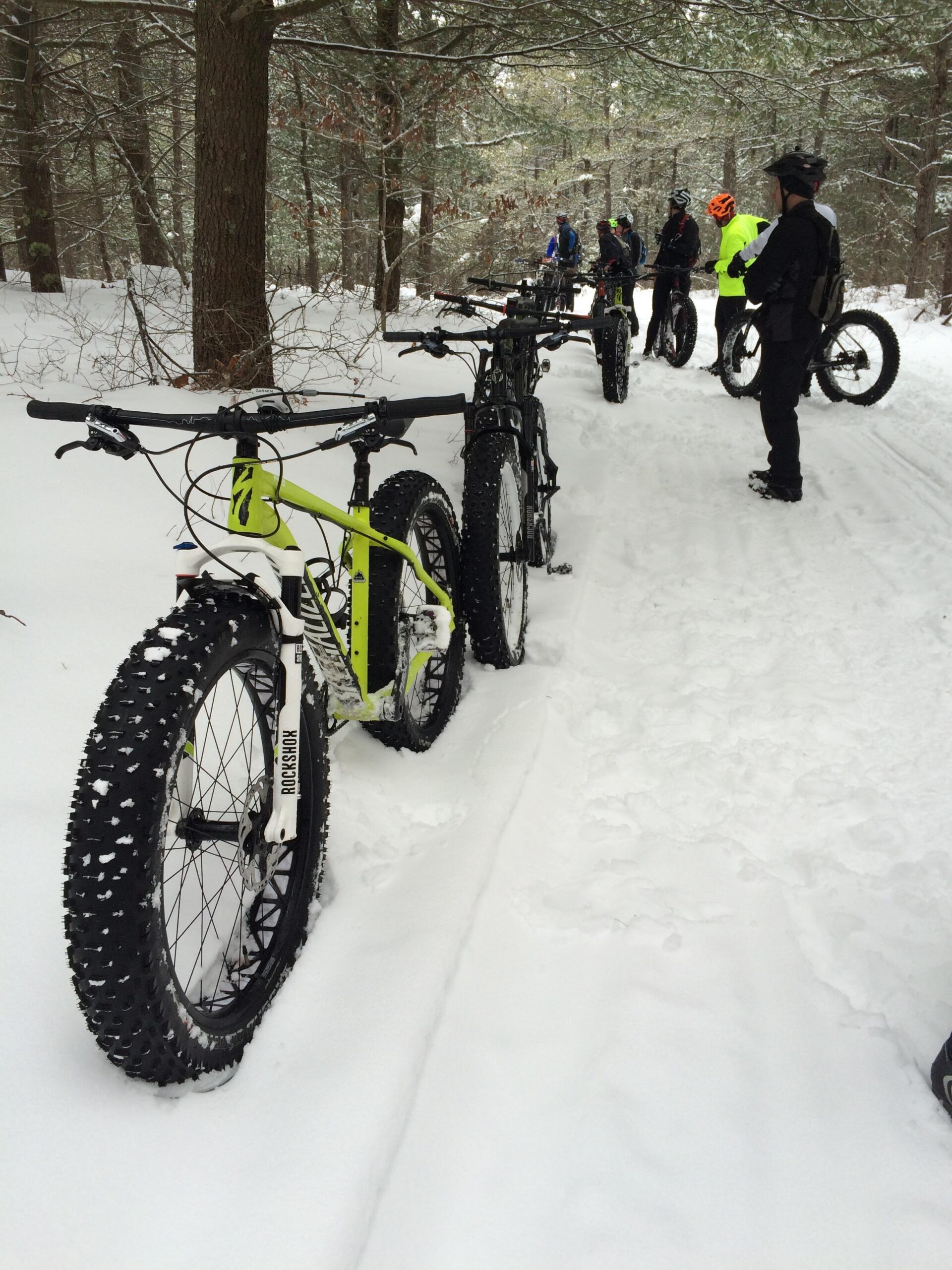 Specialized Fatboy Pro: A lineup of fat bikes stands on a snow-covered trail in a wooded area. Several cyclists are gathered in the background, dressed in winter gear. The scene is serene, with snow gently blanketing the ground and trees, creating a picturesque winter atmosphere.