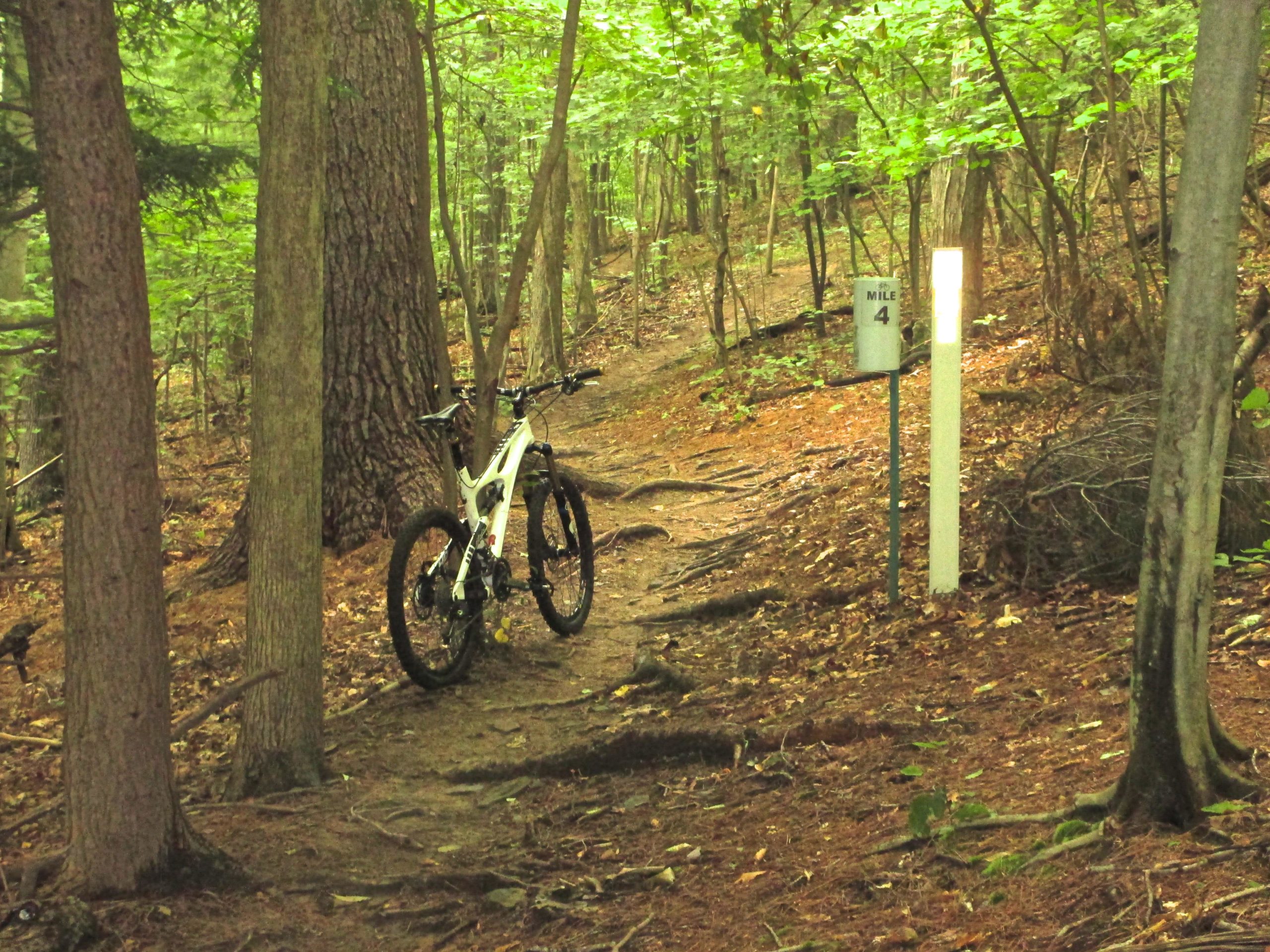 A mountain bike parked on a wooded trail, surrounded by tall trees and lush green vegetation. A mile marker indicating "Mile 4" is visible beside the path, which is partially covered with leaves and roots. Mohican mountain bike trail.