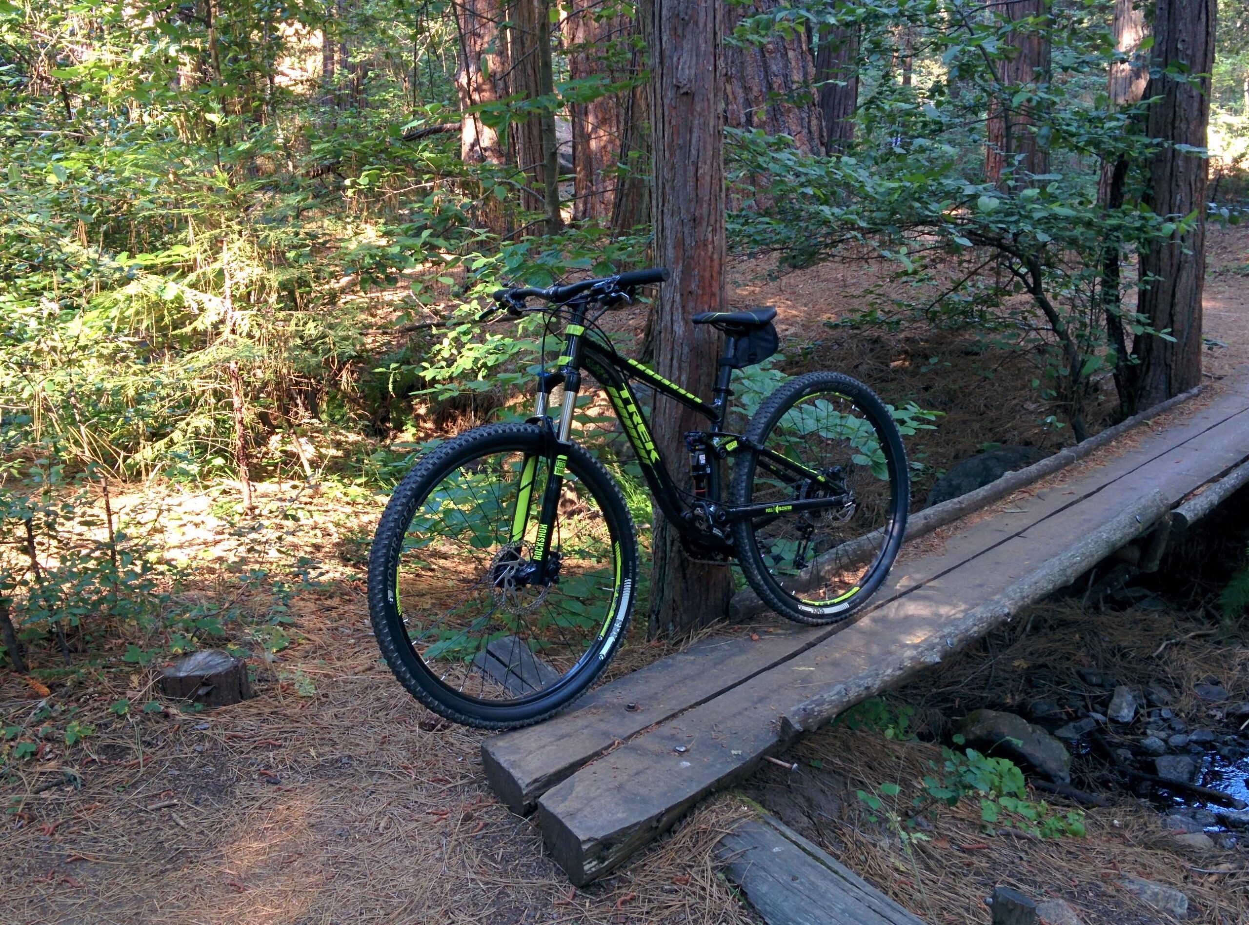 A mountain bike resting on a wooden bridge in a forested area, surrounded by tall trees and greenery. Sunlight filters through the leaves, creating a serene outdoor scene. Lewis Creek mountain bike trail.