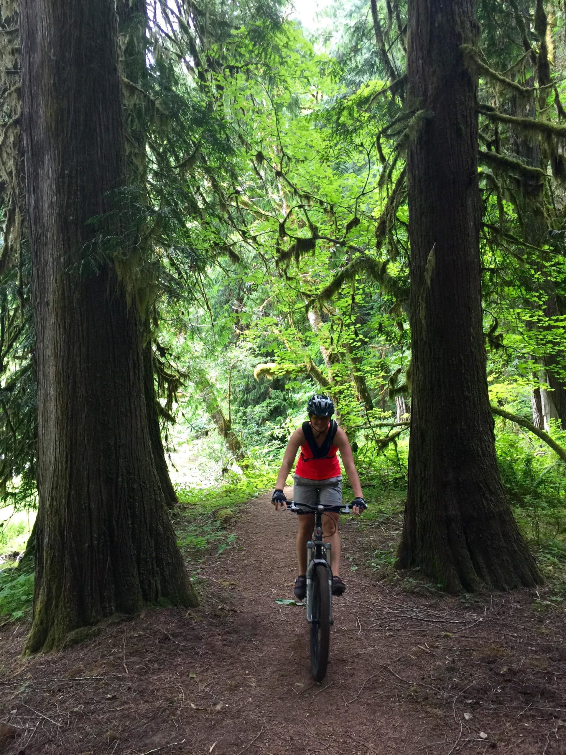 A cyclist in a red tank top and helmet rides a mountain bike along a narrow dirt path surrounded by tall, lush green trees in a forest setting. Lewis River mountain bike trail.