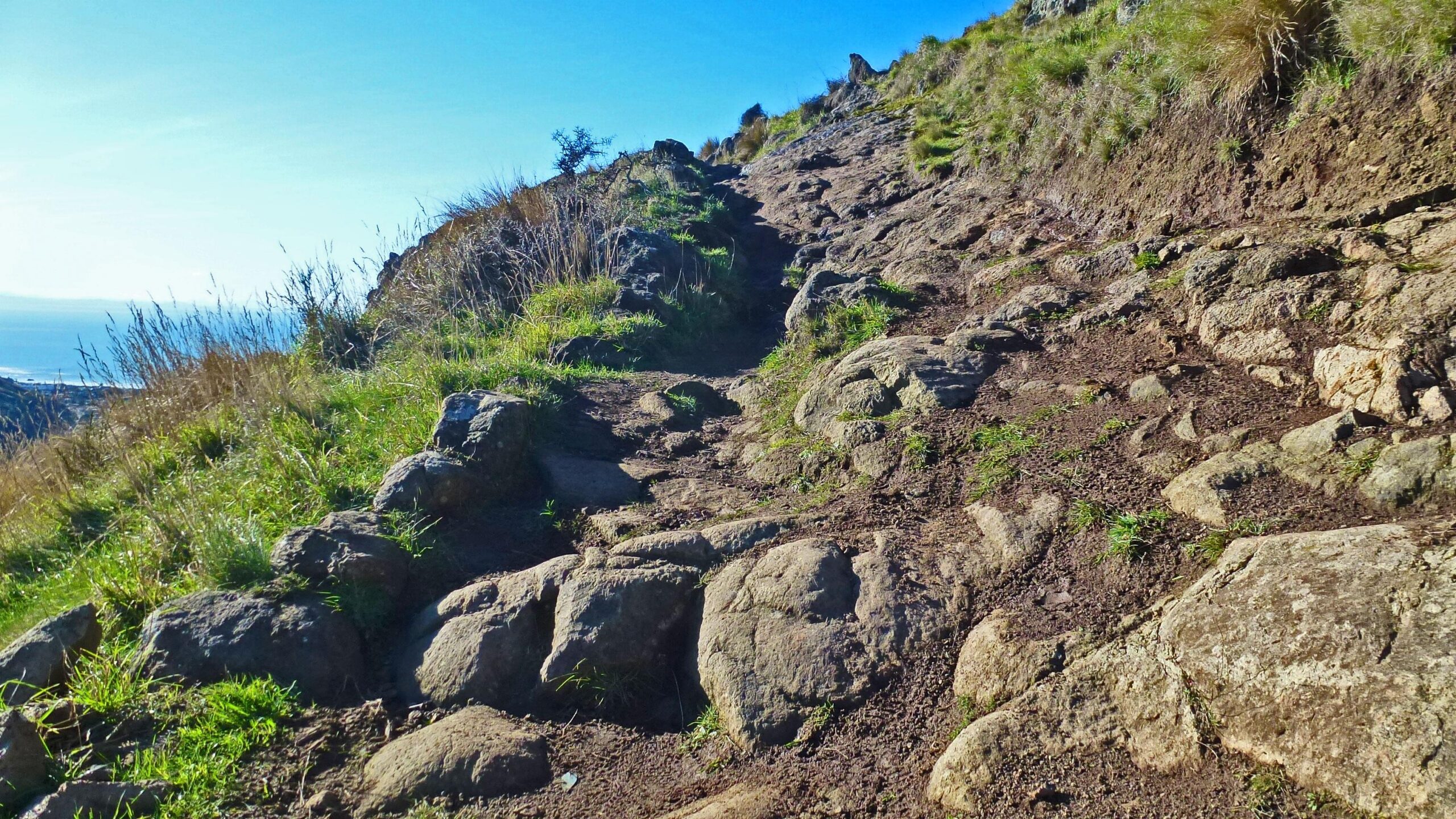 Alt text: A rugged hiking trail winding upward through rocky terrain, surrounded by green grass and with a clear blue sky overhead. The path features uneven rocks and dirt leading towards a view of the ocean in the distance. Godley Head Track mountain bike trail.