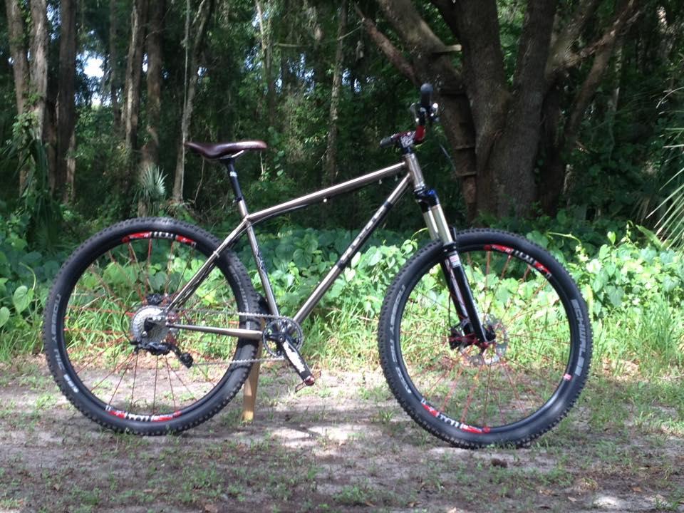 Reeb REEBdikeylous: A mountain bike with a metallic frame, brown saddle, and thick tires, positioned on a dirt path surrounded by lush greenery and trees.