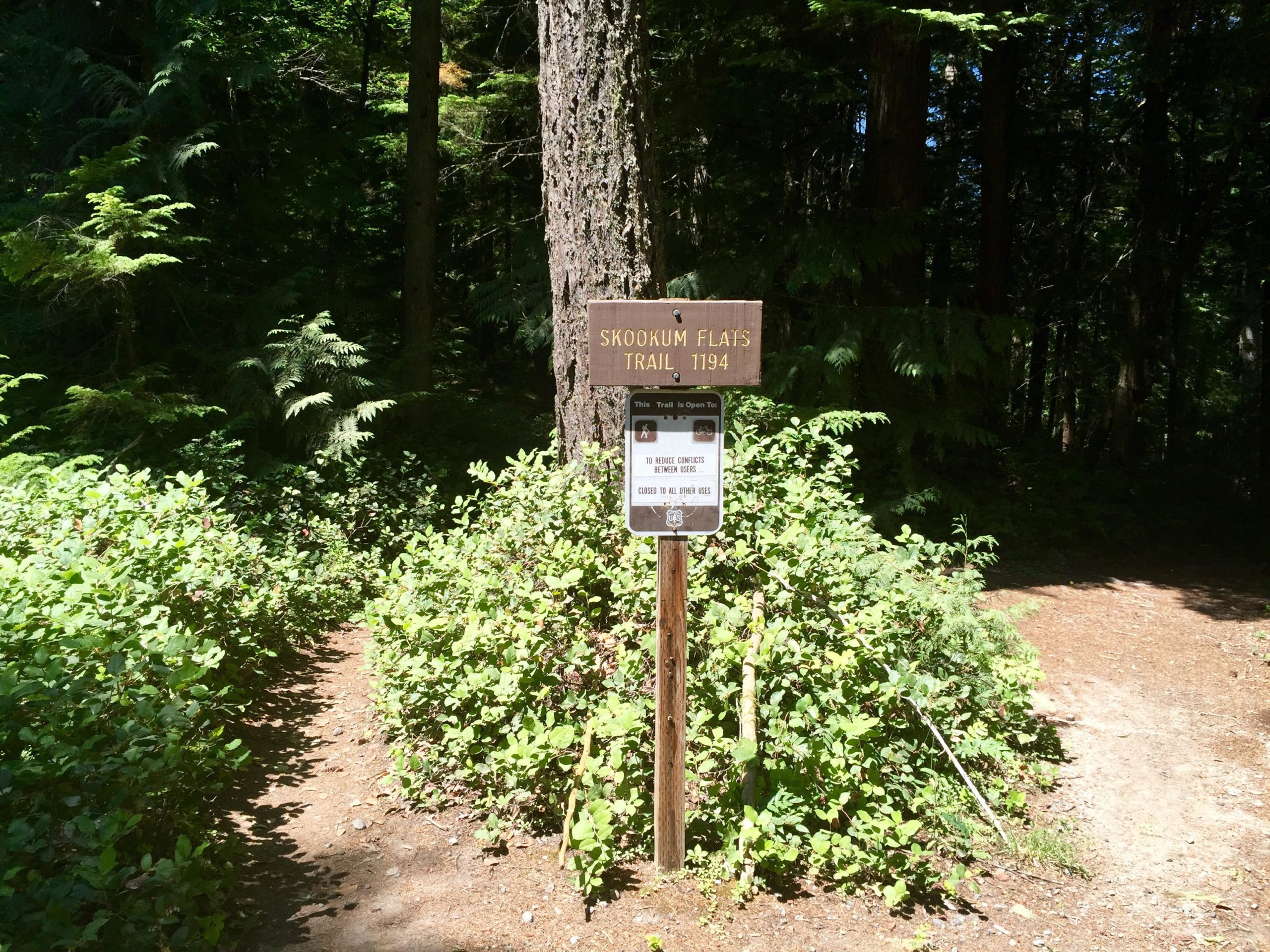 A wooden sign indicating the Skokum Flats Trail 1194, surrounded by lush greenery in a dense forest. The sign provides information about the trail and contains instructions for visitors. A dirt path leads into the woods on the right side of the image. Skookum Flats mountain bike trail.