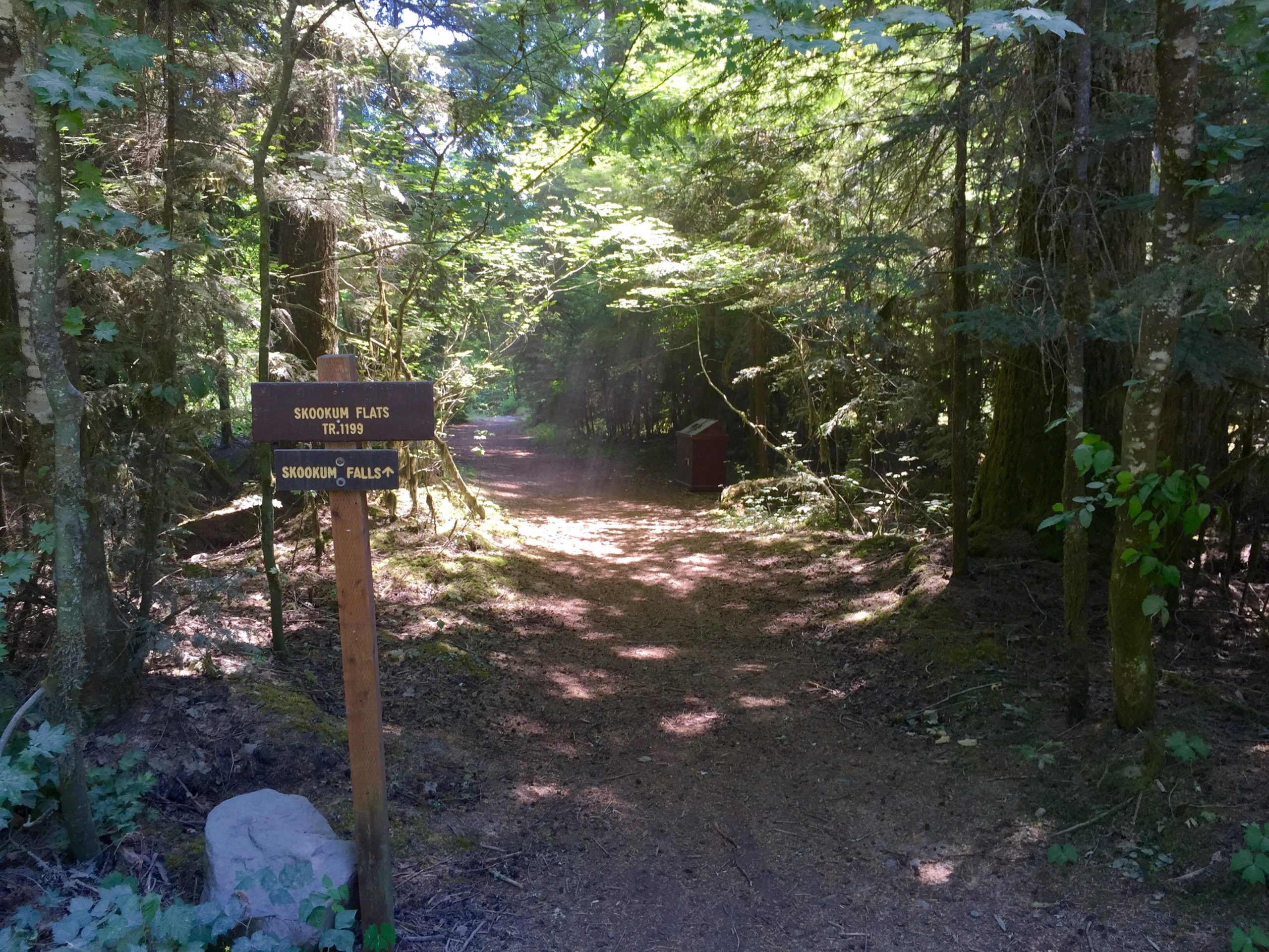 A dirt trail leading through a lush forest, featuring a brown wooden sign indicating directions to "Skookum Flats" and "Skookum Falls." The surroundings are vibrant with greenery, sunlight filtering through the trees, and a small structure visible in the background. Skookum Flats mountain bike trail.