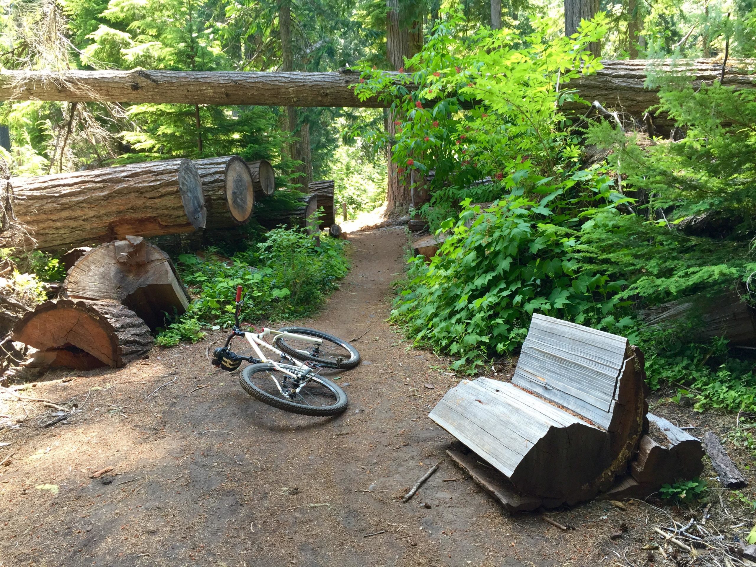 A mountain bike lies on the ground next to a dirt path surrounded by lush greenery and fallen trees in a forest. A rustic wooden bench made from logs sits nearby, providing a resting spot for visitors. Skookum Flats mountain bike trail.
