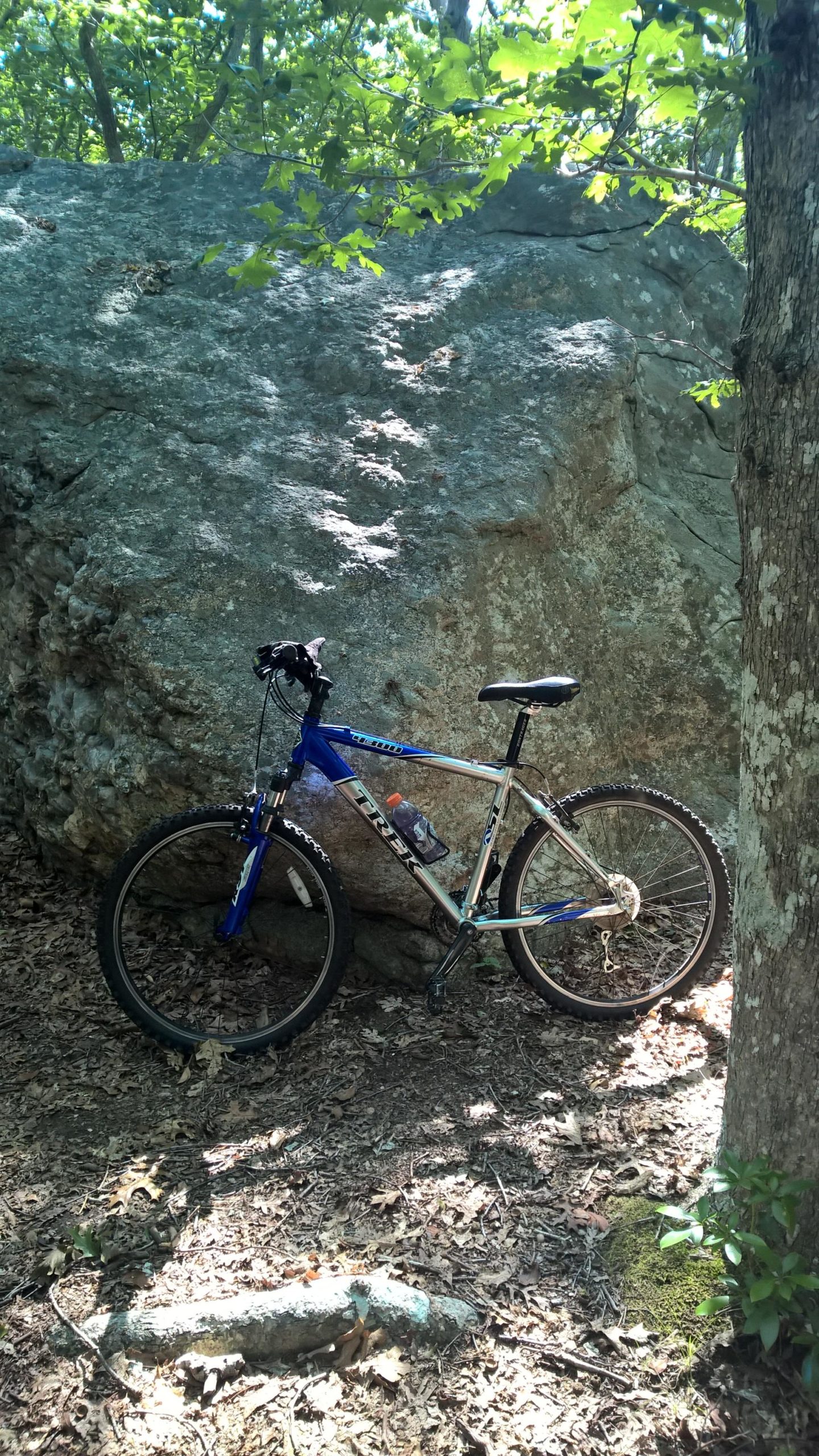 A blue mountain bike leaning against a large rock in a wooded area, surrounded by trees and scattered leaves on the ground. A water bottle is attached to the bike frame. Hither Woods mountain bike trail.