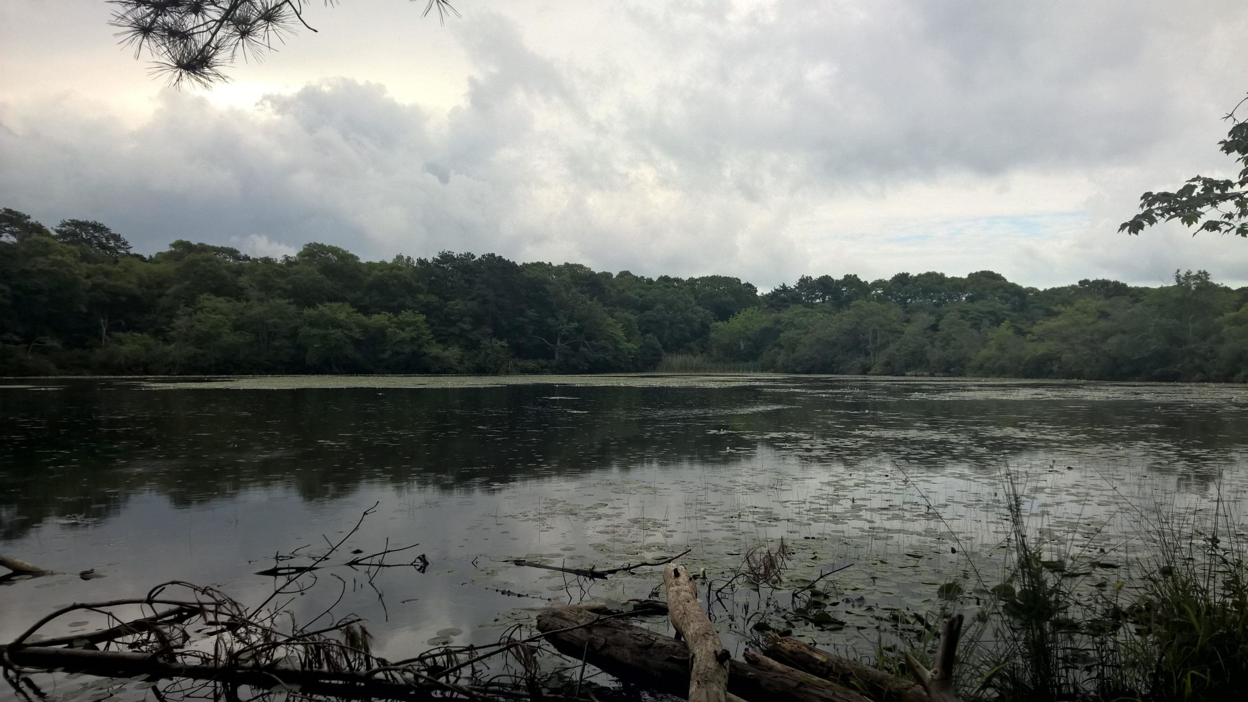 A tranquil view of a calm lake surrounded by lush greenery under a cloudy sky. Logs and branches are visible in the foreground, while the water's surface reflects the trees and clouds above. The scene conveys a peaceful natural setting. Sans Souci Preserve mountain bike trail.