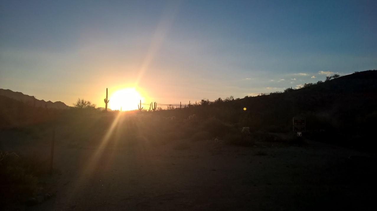 A beautiful desert landscape at sunset, featuring silhouettes of cacti and rugged hills against a vibrant sky illuminated by the setting sun. The image captures a serene and tranquil atmosphere, with warm light casting long shadows on the ground. Pemberton Loop mountain bike trail.