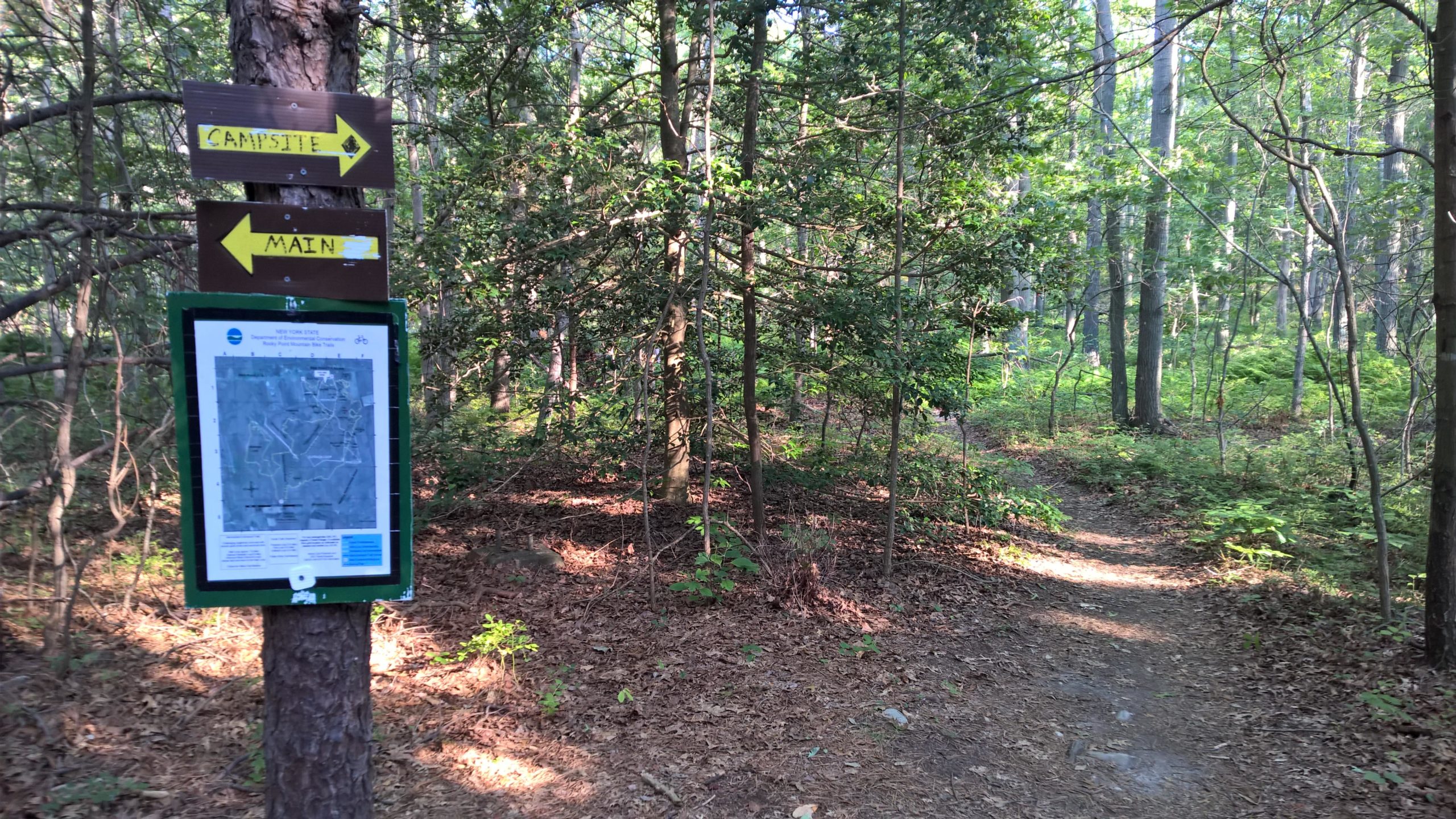Signpost indicating direction to a campsite and main trail, with a map of the area displayed. The scene is surrounded by dense greenery and tall trees, with a dirt path leading into the forest. Rocky Point mountain bike trail.