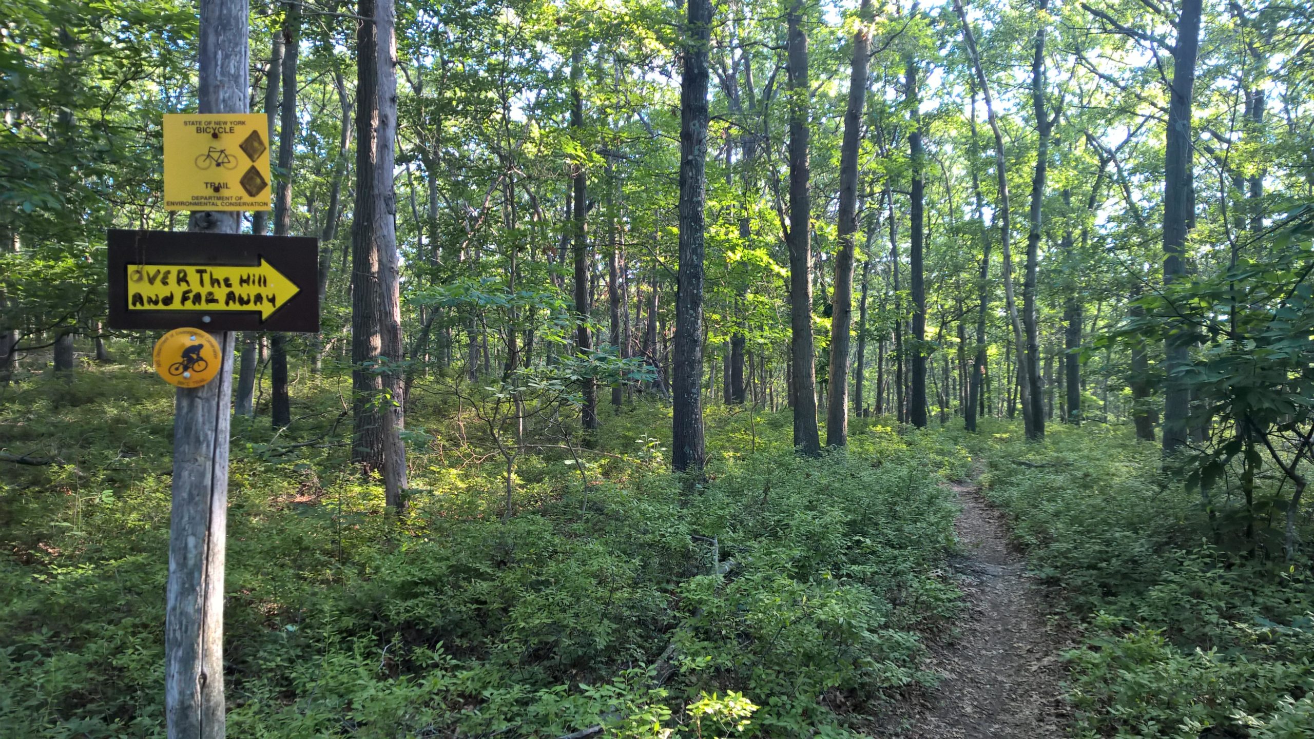 A wooded trail marked with signs indicating bicycle regulations and directions, surrounded by lush greenery and trees. One sign points left with the text "Over the hill and far away," while another depicts a bicycle symbol. Rocky Point mountain bike trail.