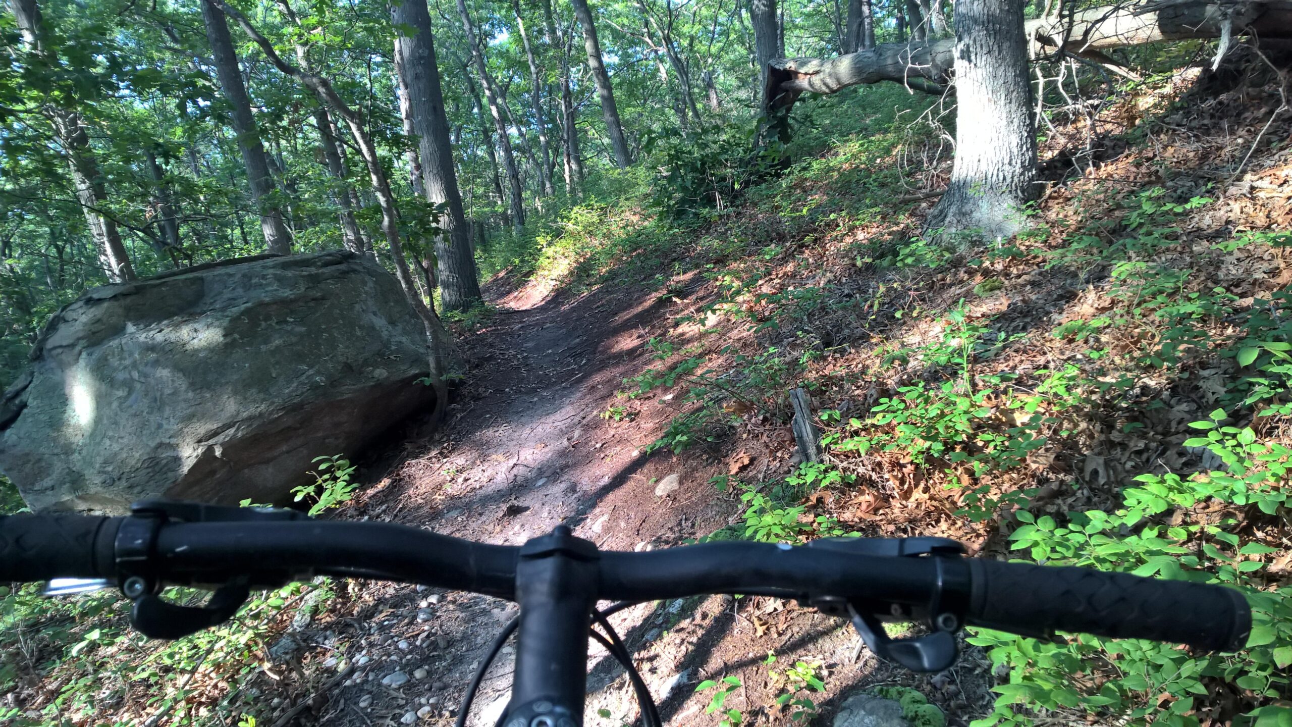 A view from the handlebars of a mountain bike on a narrow, winding trail through a forest. The path is surrounded by dense greenery, including trees and shrubs, with a large boulder visible to the left. Sunlight filters through the leaves, creating a dappled effect on the ground. Rocky Point mountain bike trail.