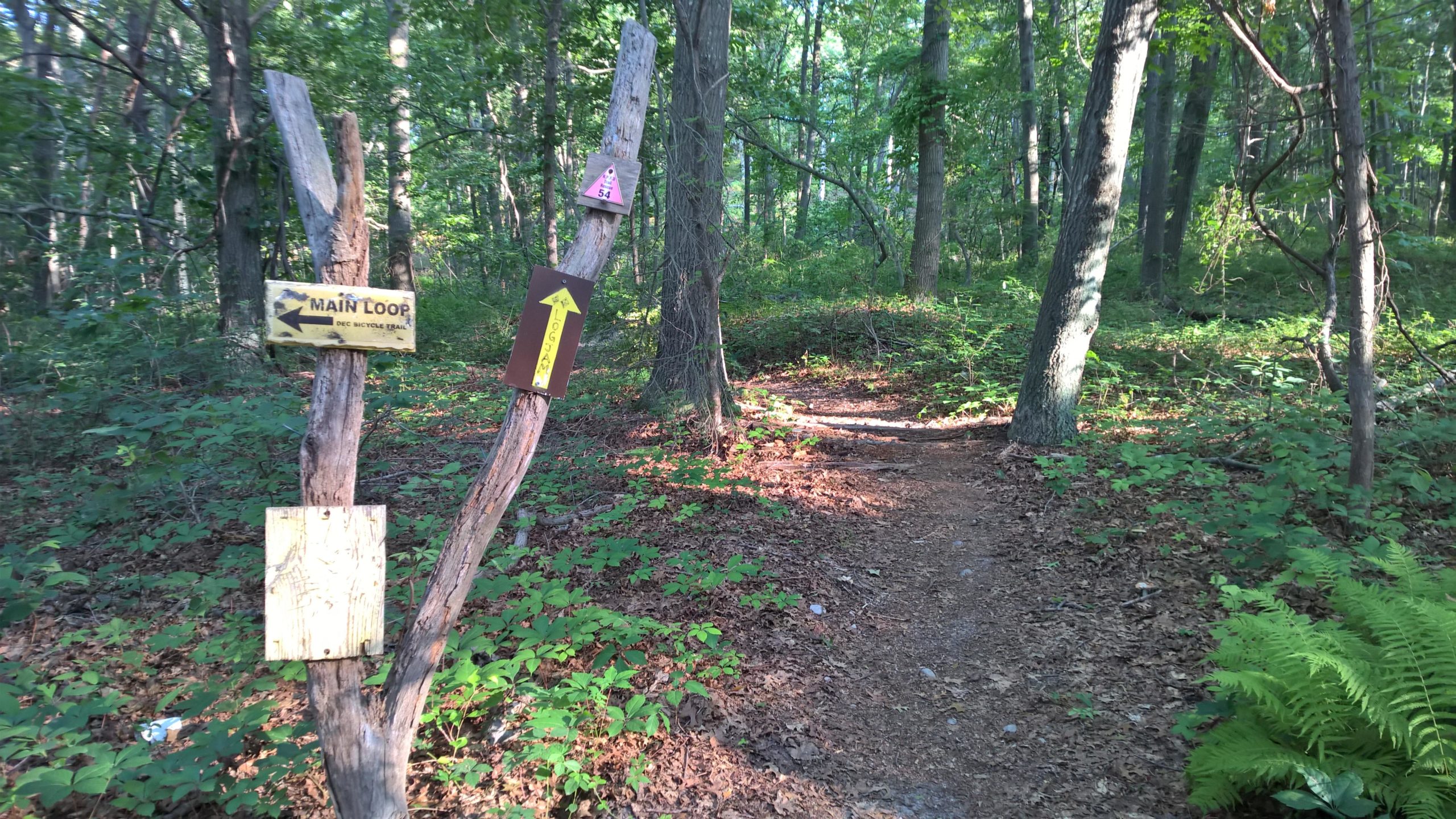 Two wooden trail signs in a forested area. The left sign points to the "Main Loop" with an arrow, while the right sign indicates a trail named "Logan." The surroundings are lush with green foliage and trees, and a dirt path leads into the woods. Rocky Point mountain bike trail.