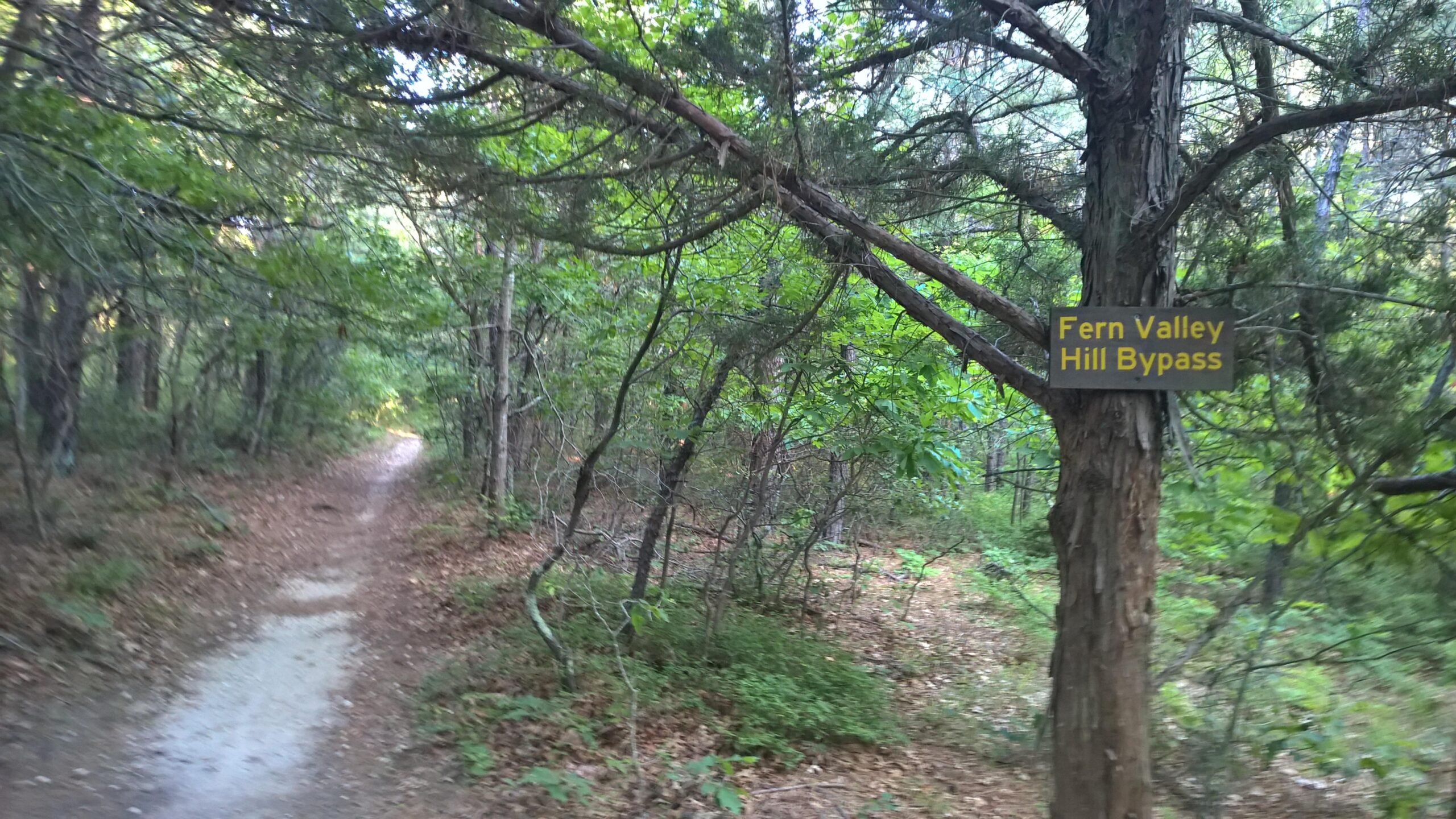 A forest trail with a brown dirt path, surrounded by lush green trees and underbrush. A wooden sign on a nearby tree reads "Fern Valley Hill Bypass." Rocky Point mountain bike trail.