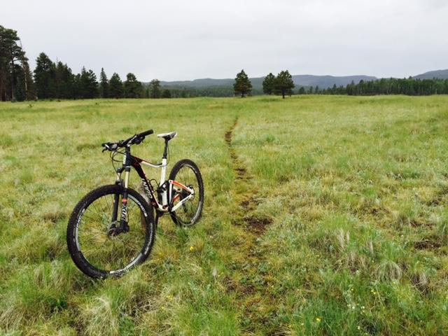 A mountain bike parked on a grassy field, with a narrow dirt trail leading into the distance. Tall trees are visible in the background under a cloudy sky. West Fork Trail #94 mountain bike trail.